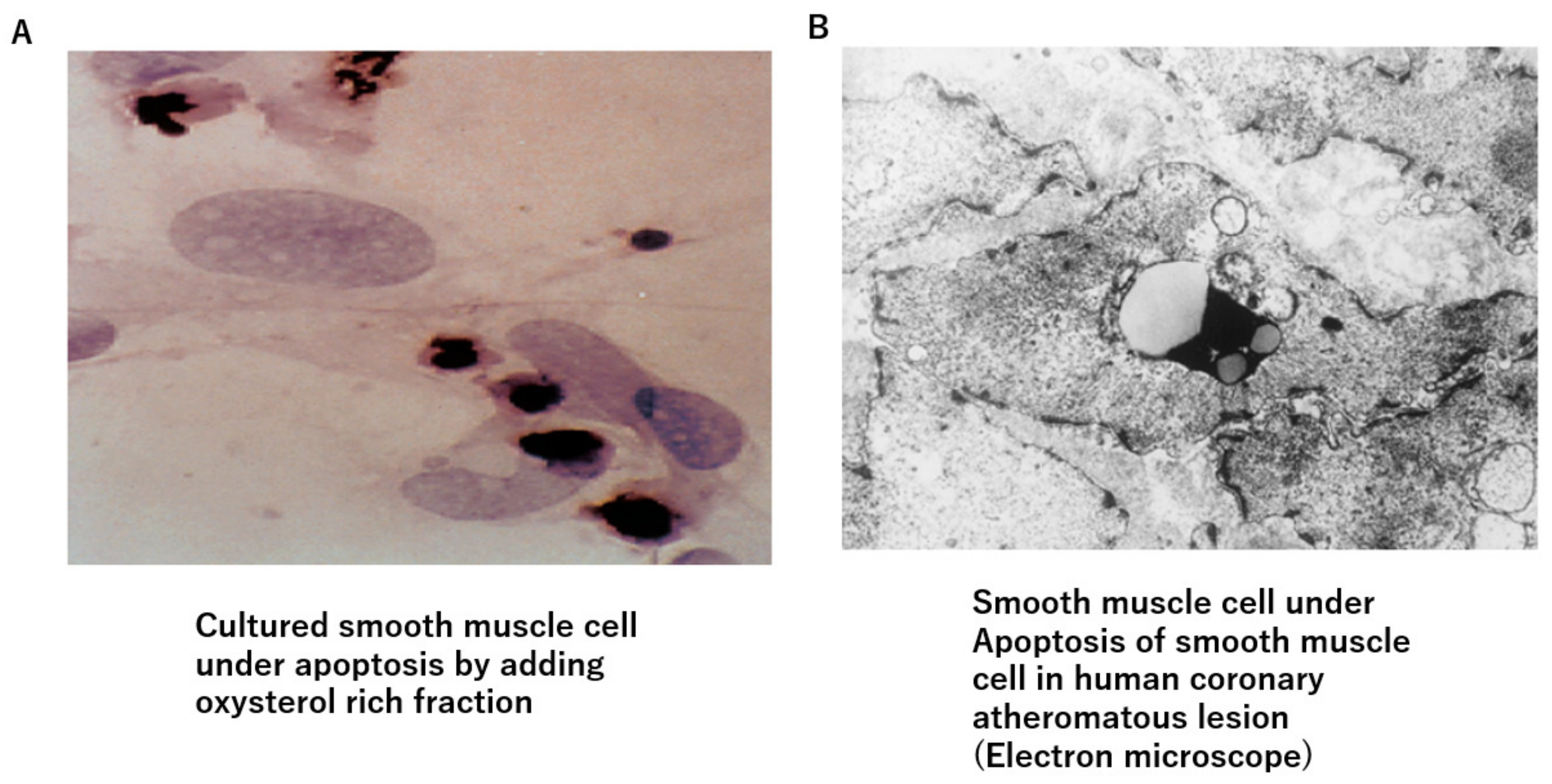 Jcm 12 07436 g002 Jcm 12 07436 g002