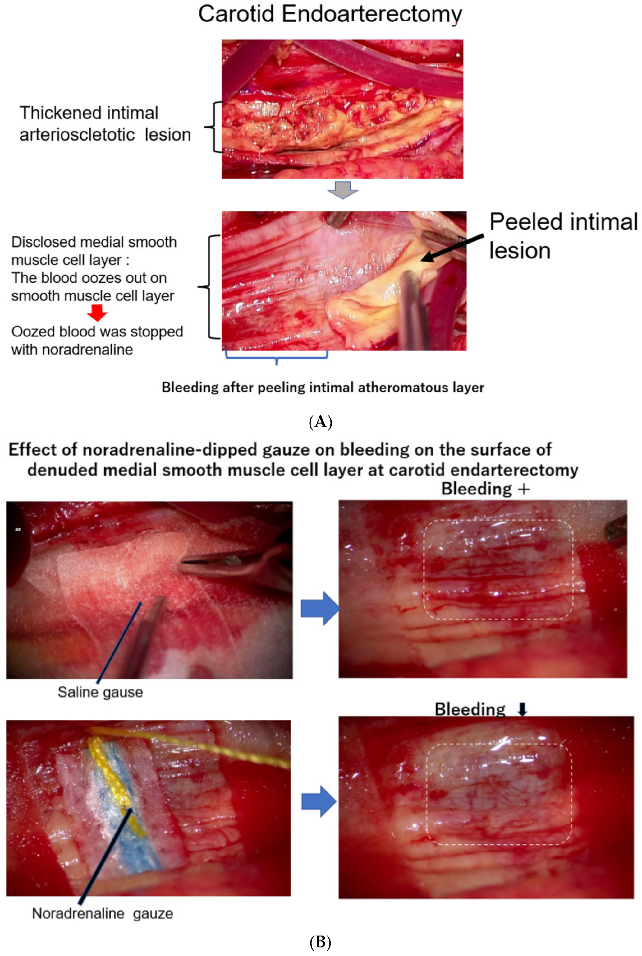 Jcm 12 07436 g003 Jcm 12 07436 g003