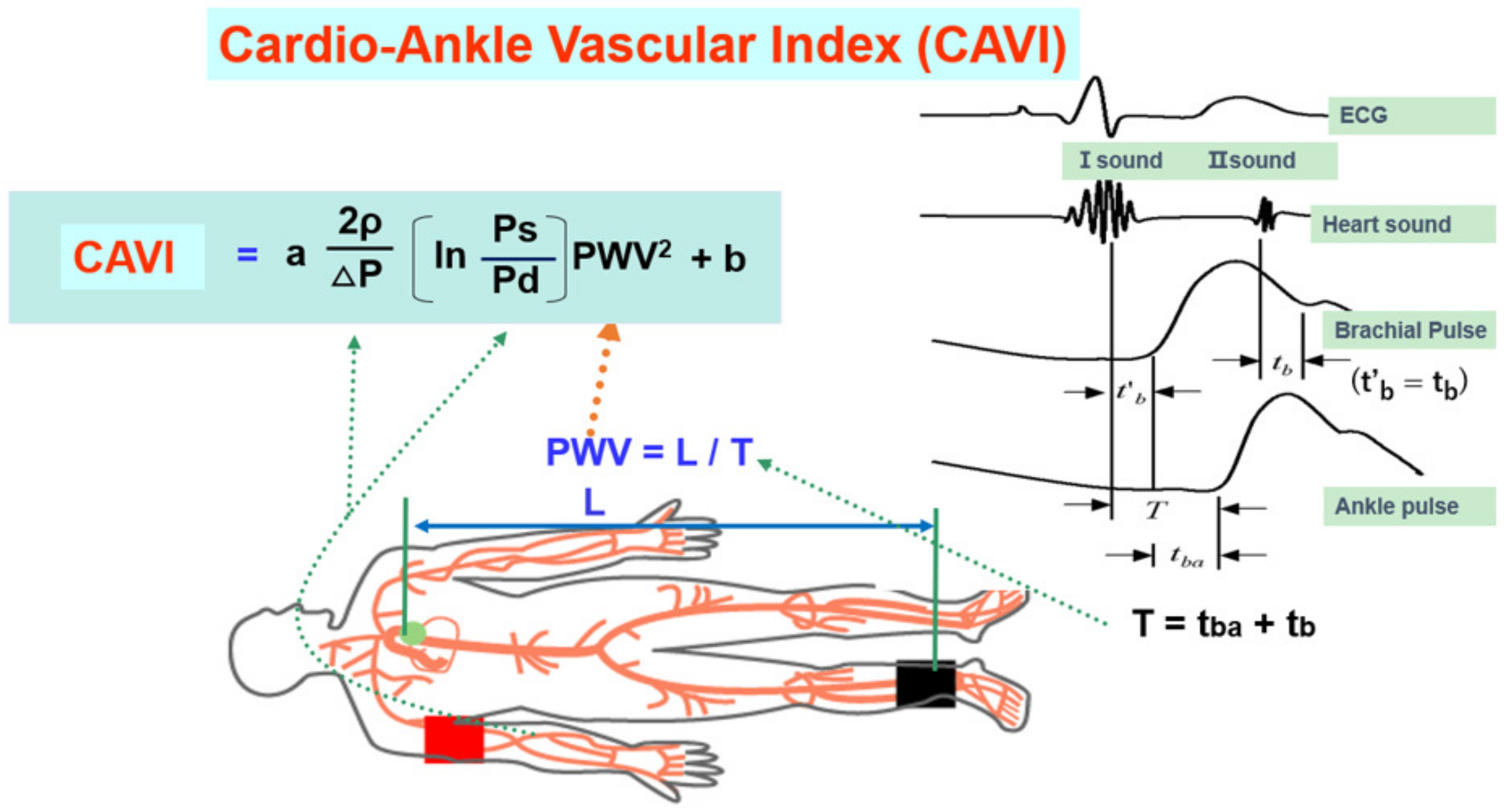 Jcm 12 07436 g004 Jcm 12 07436 g004