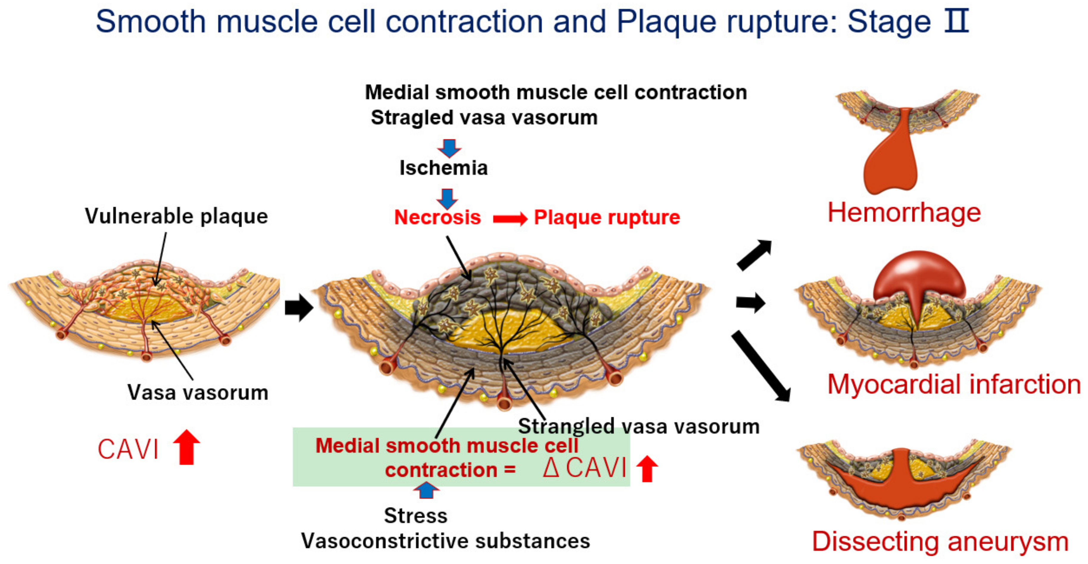 Jcm 12 07436 g006 Jcm 12 07436 g006