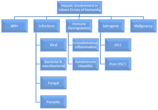 Differential Diagnosis: Hepatic Complications in Inborn Errors of Immunity