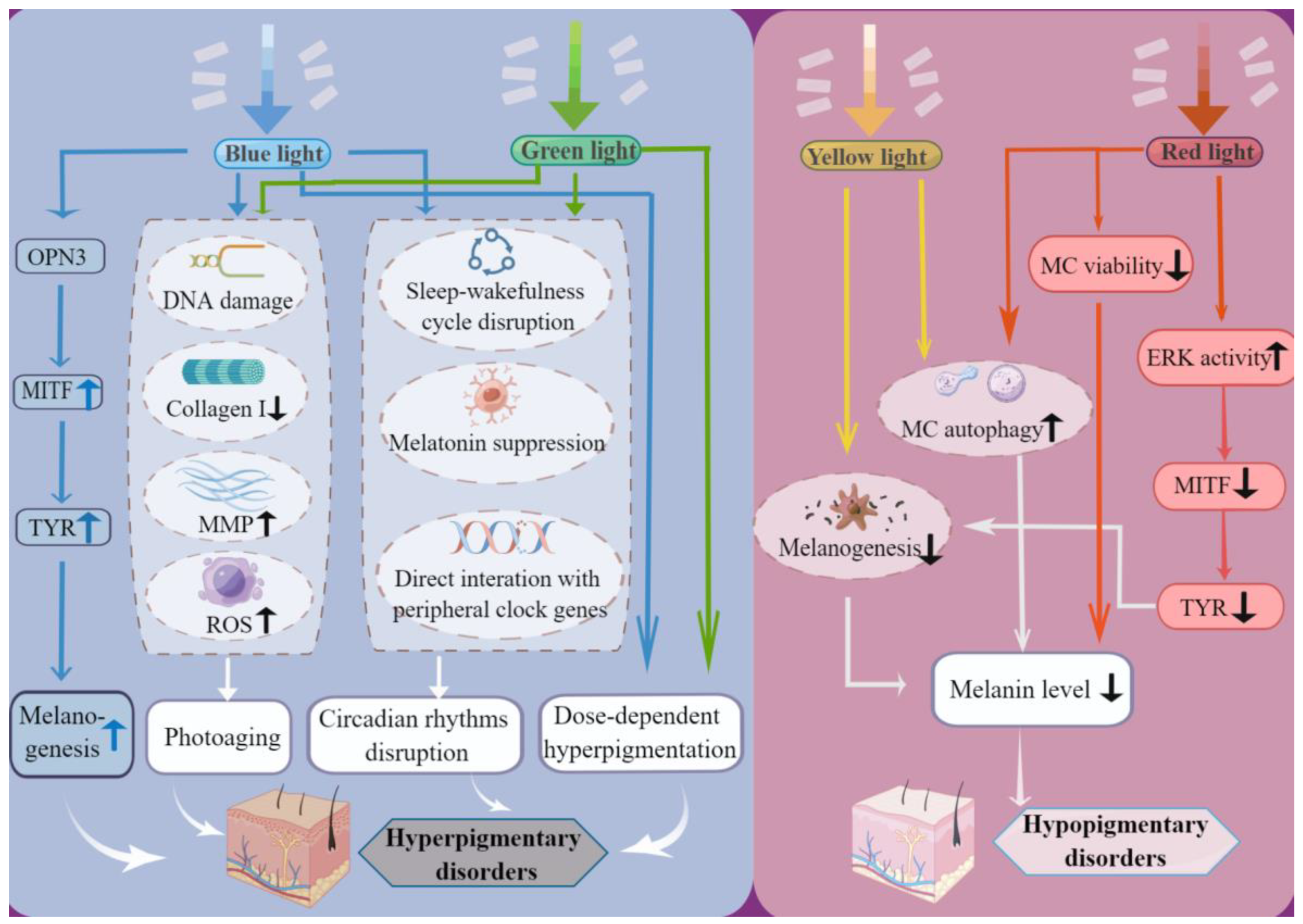Jcm 12 07488 g002 Jcm 12 07488 g002