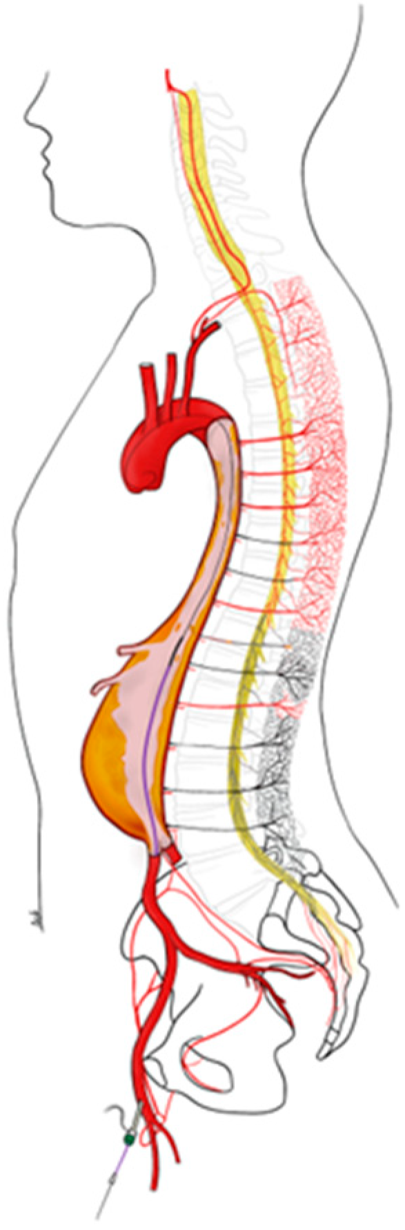 Jcm 12 07520 g003 Jcm 12 07520 g003