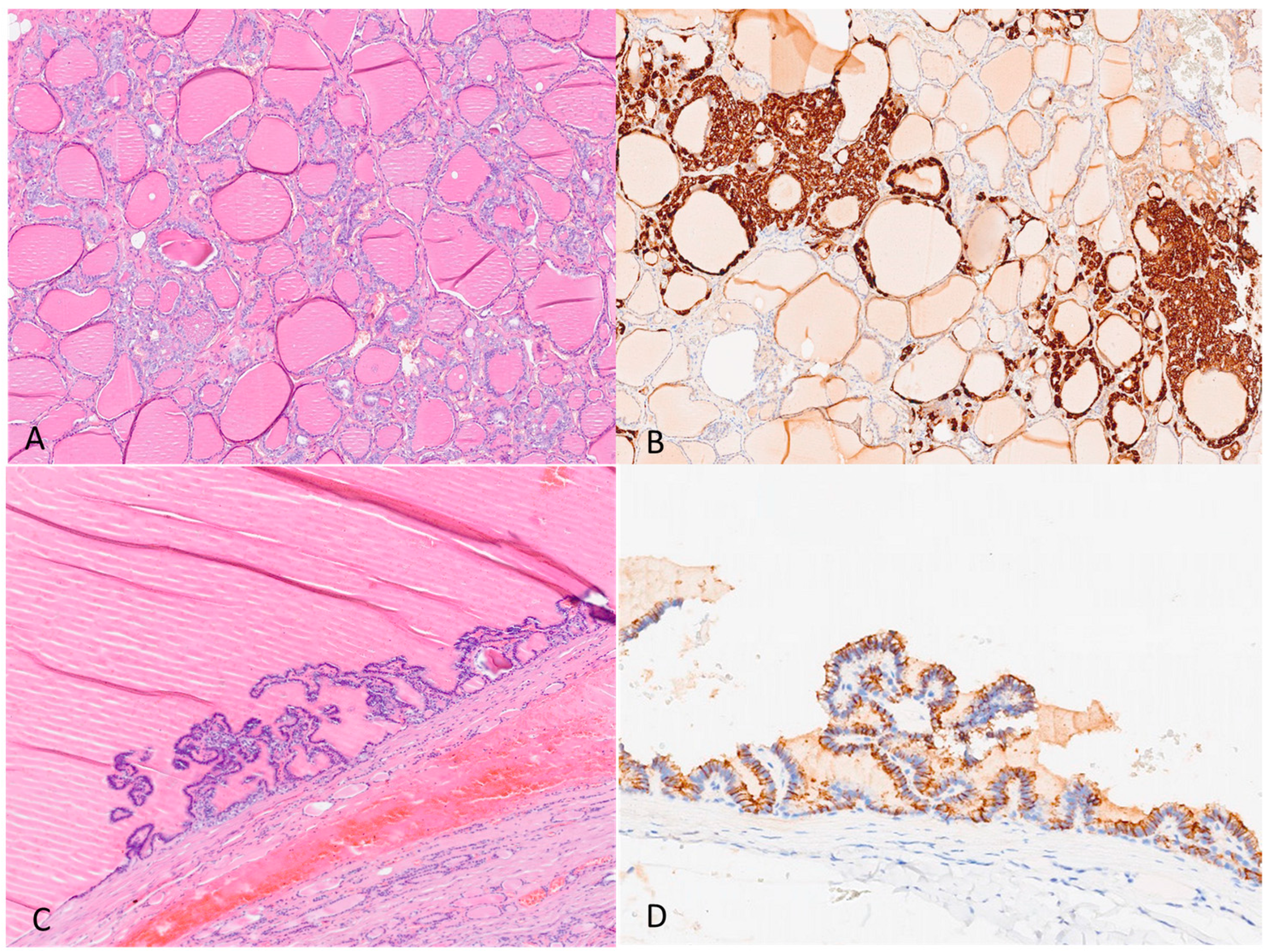 Jcm 12 07525 g002 Jcm 12 07525 g002