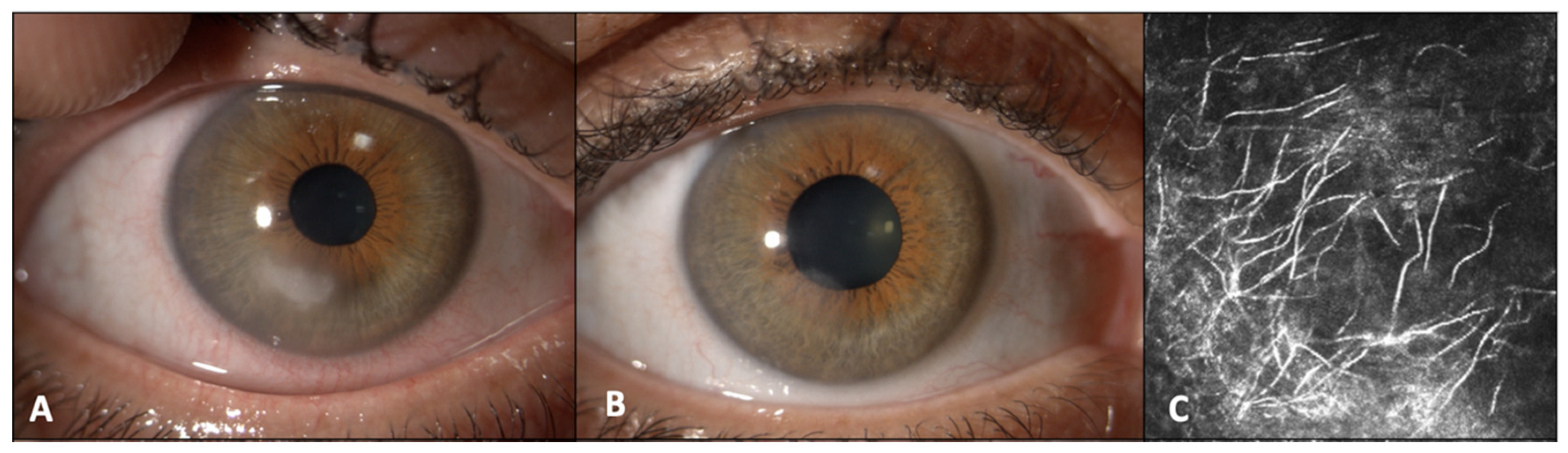 Jcm 12 07601 g001 Jcm 12 07601 g001