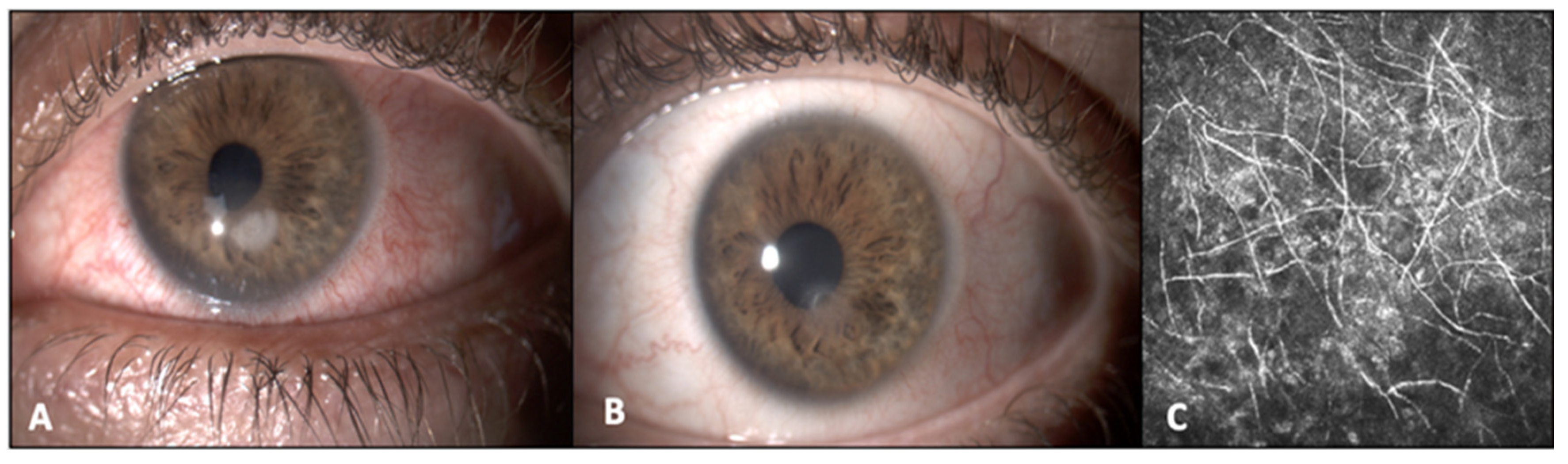 Jcm 12 07601 g002 Jcm 12 07601 g002