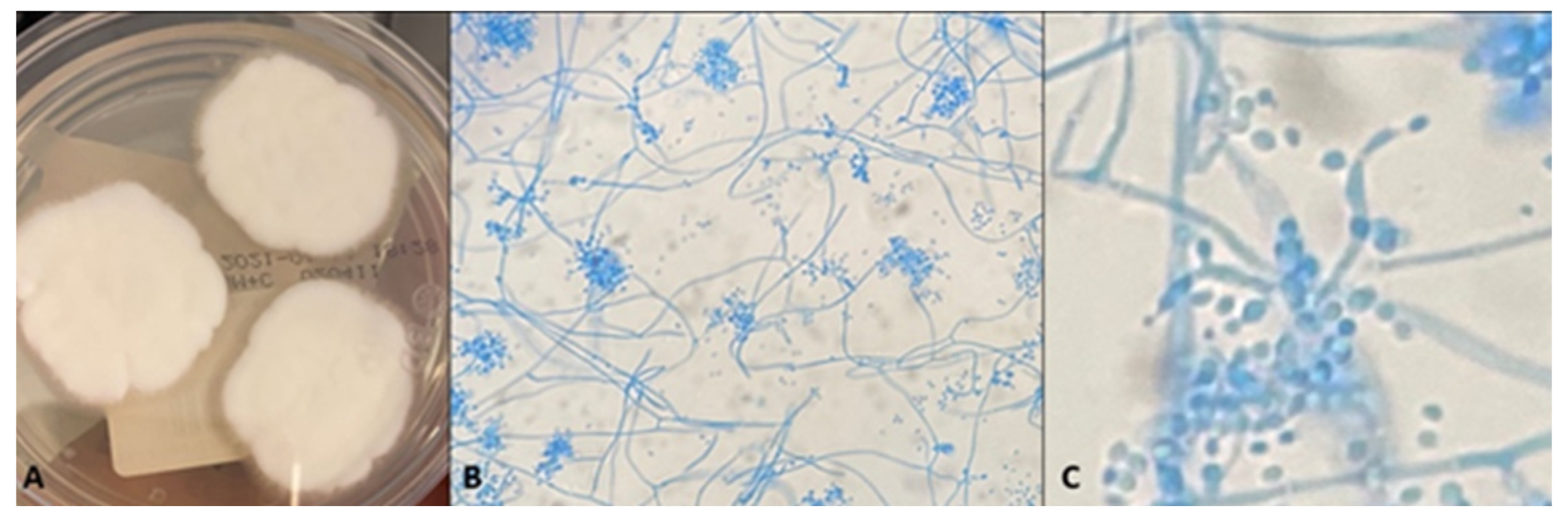 Jcm 12 07601 g003 Jcm 12 07601 g003