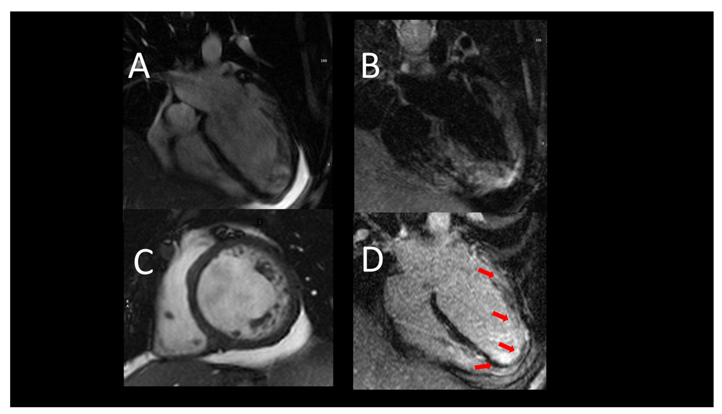 Jcm 12 07641 g001 Jcm 12 07641 g001