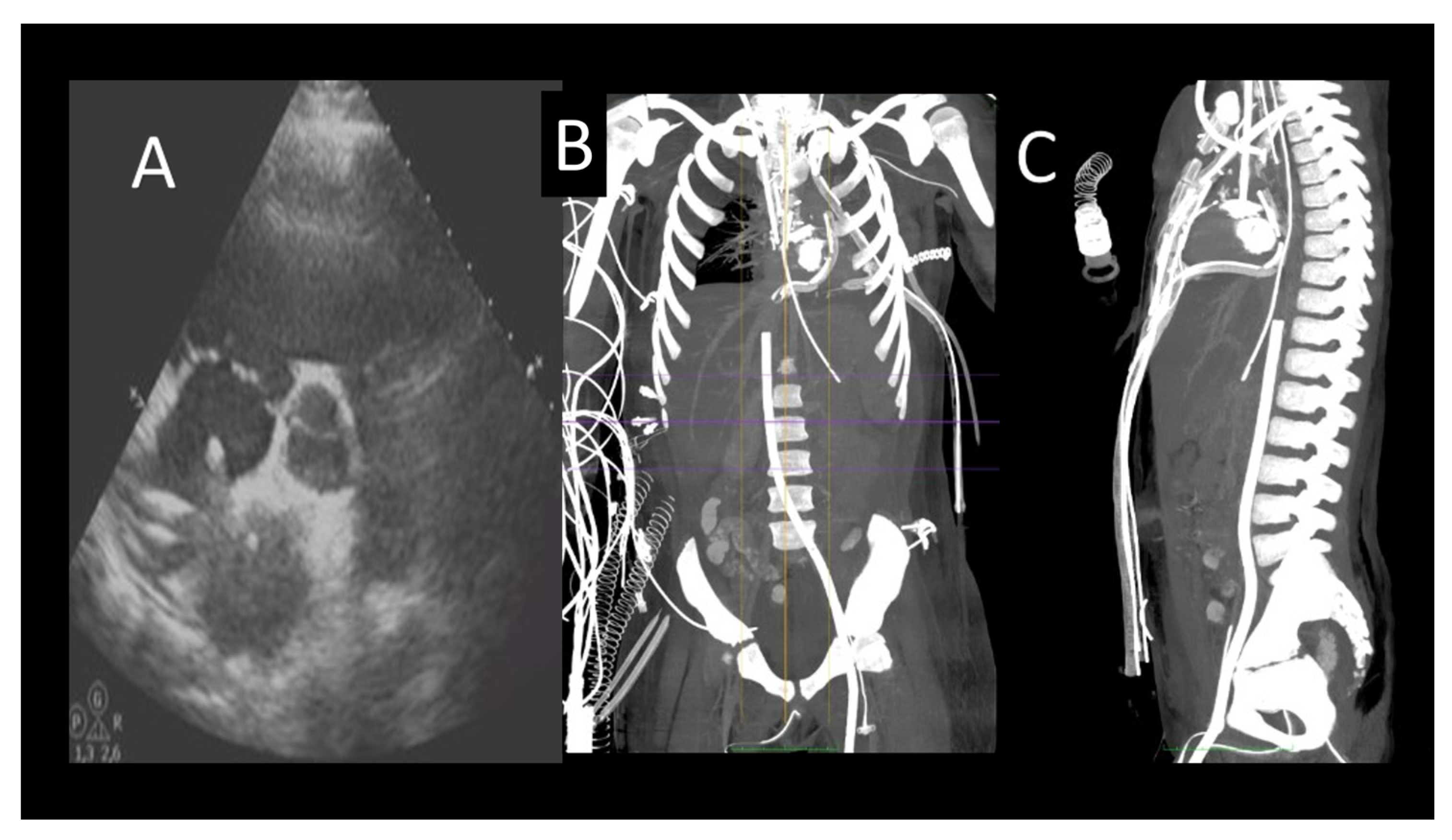 Jcm 12 07641 g004 Jcm 12 07641 g004