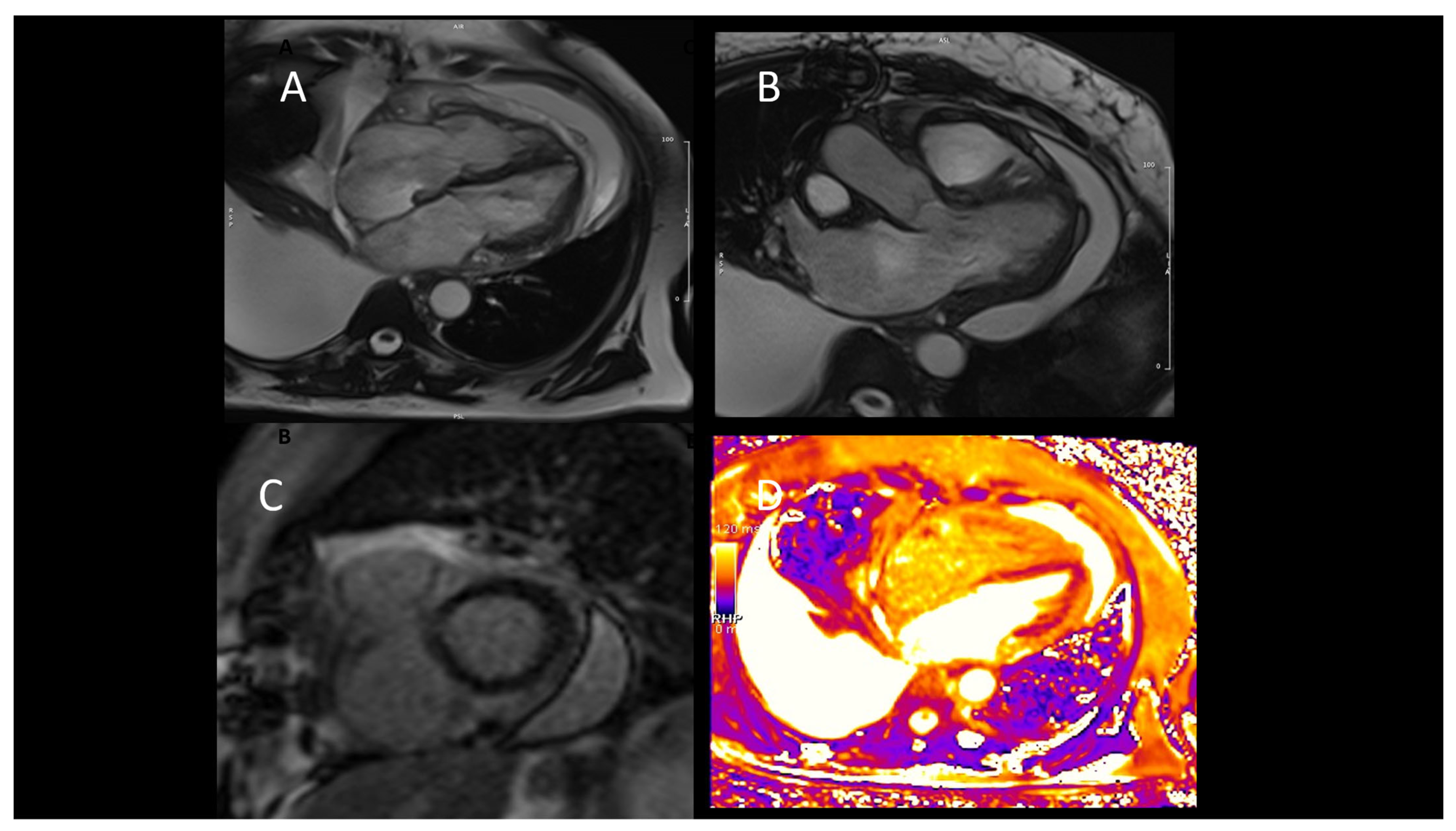 Jcm 12 07641 g006 Jcm 12 07641 g006