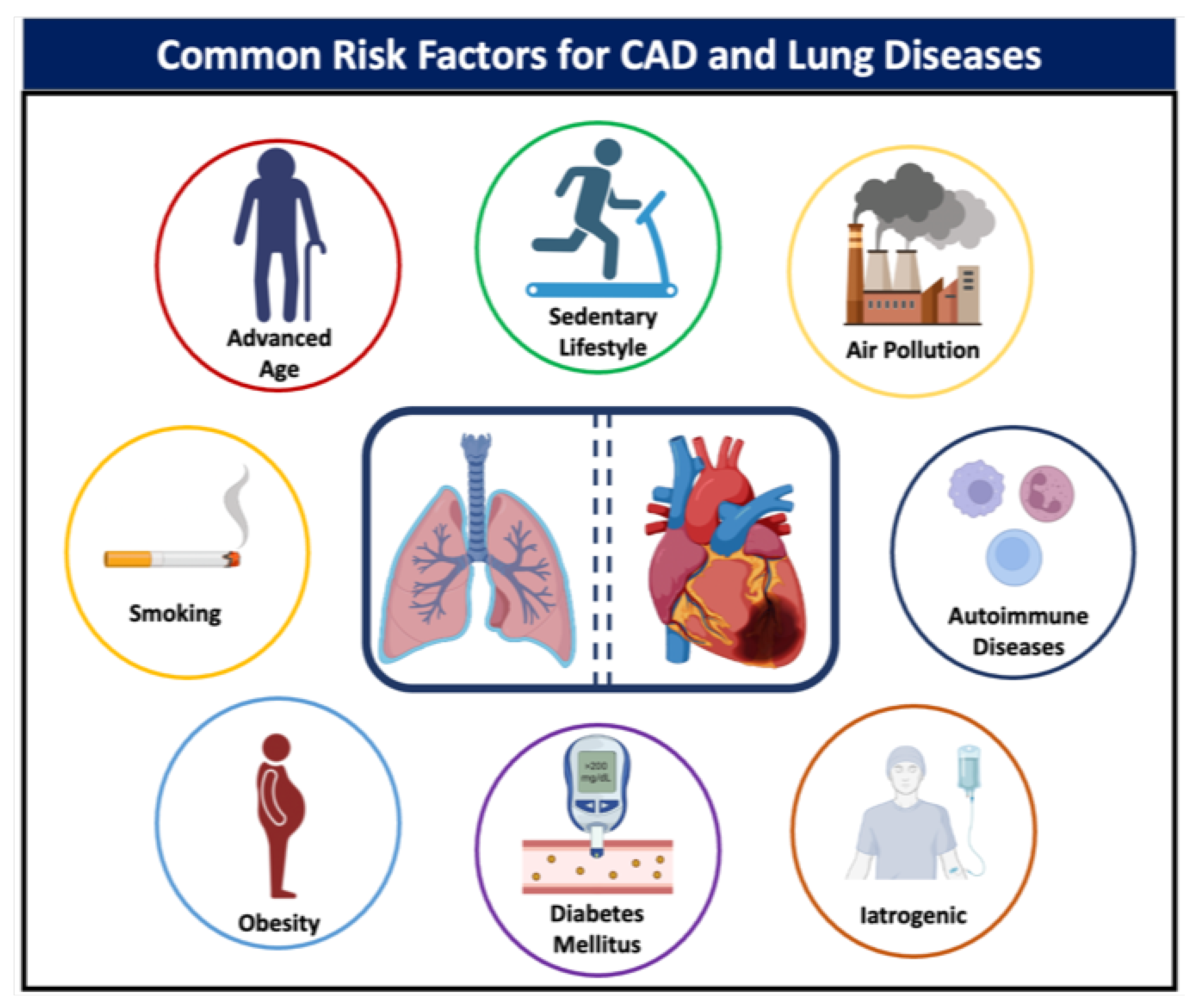 coronary-artery-disease-in-the-lung-transplant-patient-encyclopedia-mdpi