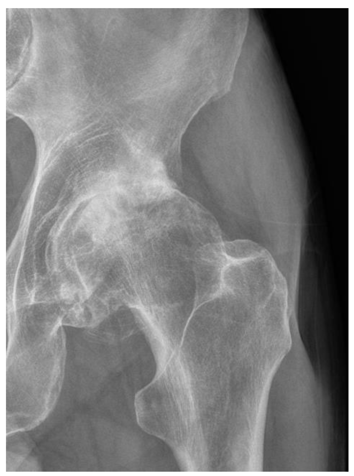 Jcm 12 07652 g002 Jcm 12 07652 g002