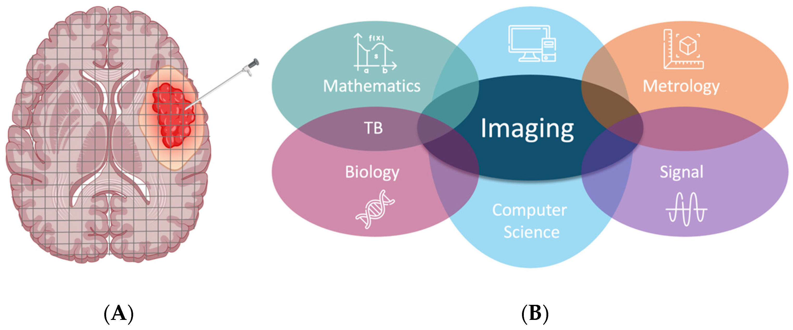 Jcm 12 07706 g001 Jcm 12 07706 g001