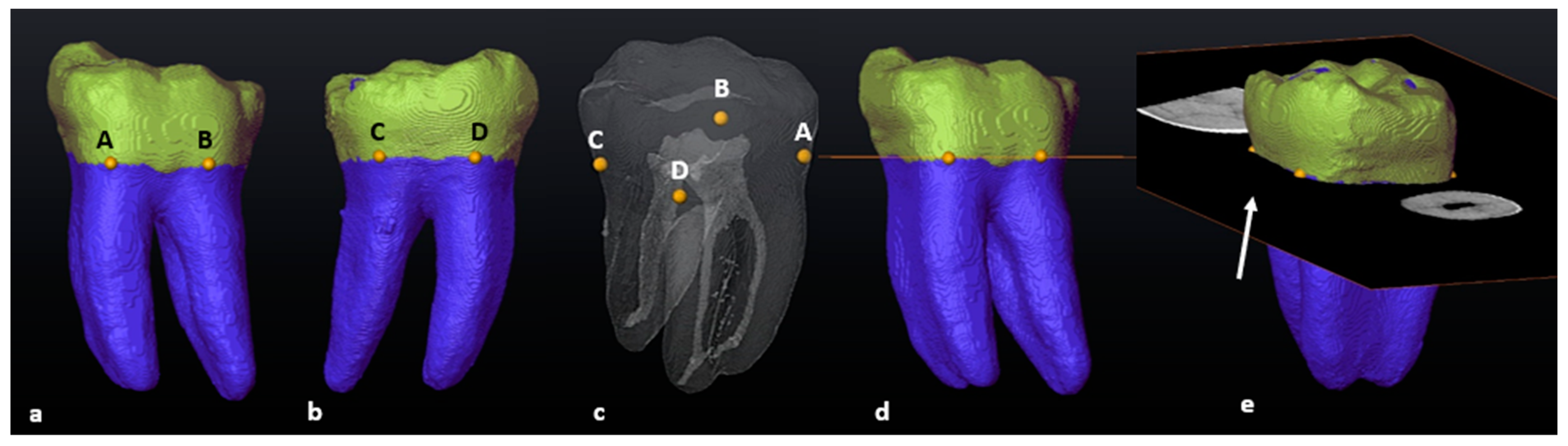Jcm 13 00071 g001 Jcm 13 00071 g001