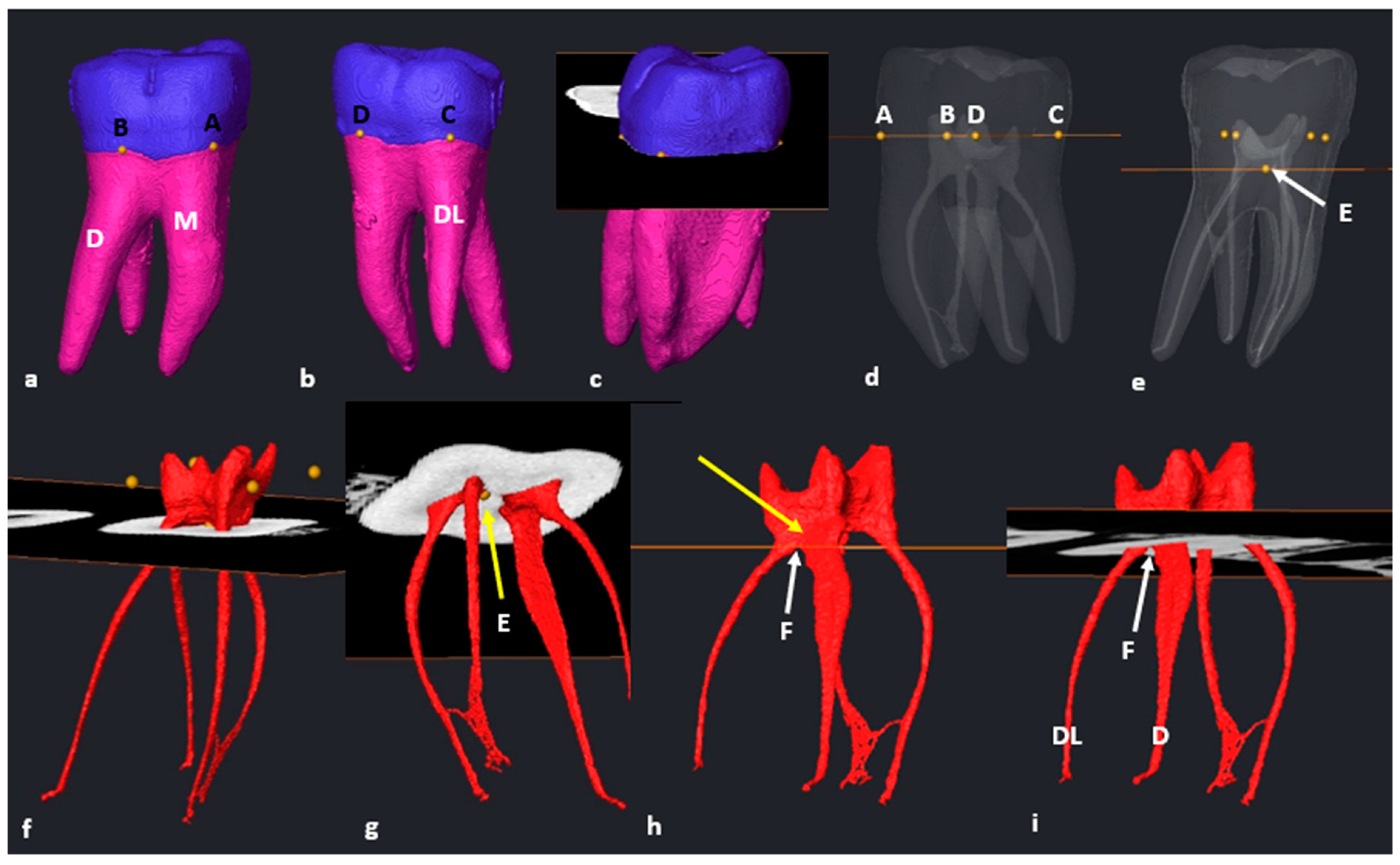 Jcm 13 00071 g004 Jcm 13 00071 g004