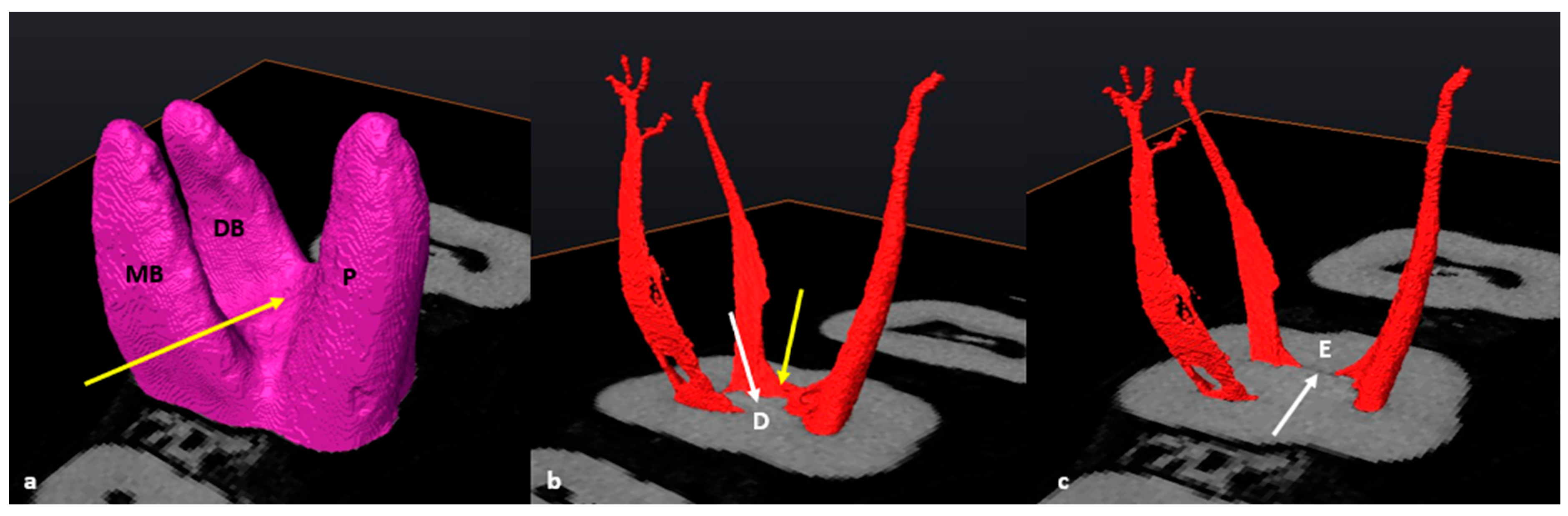 Jcm 13 00071 g006 Jcm 13 00071 g006