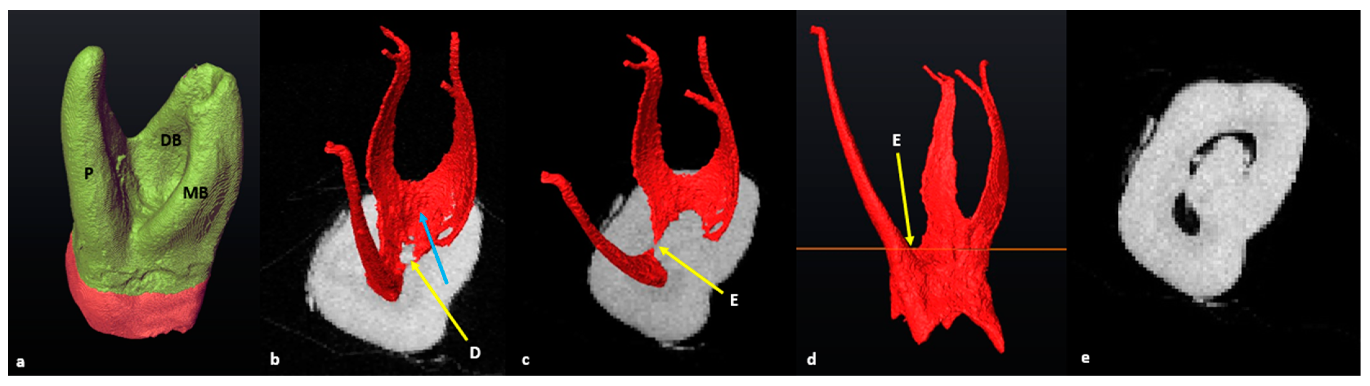 Jcm 13 00071 g008 Jcm 13 00071 g008