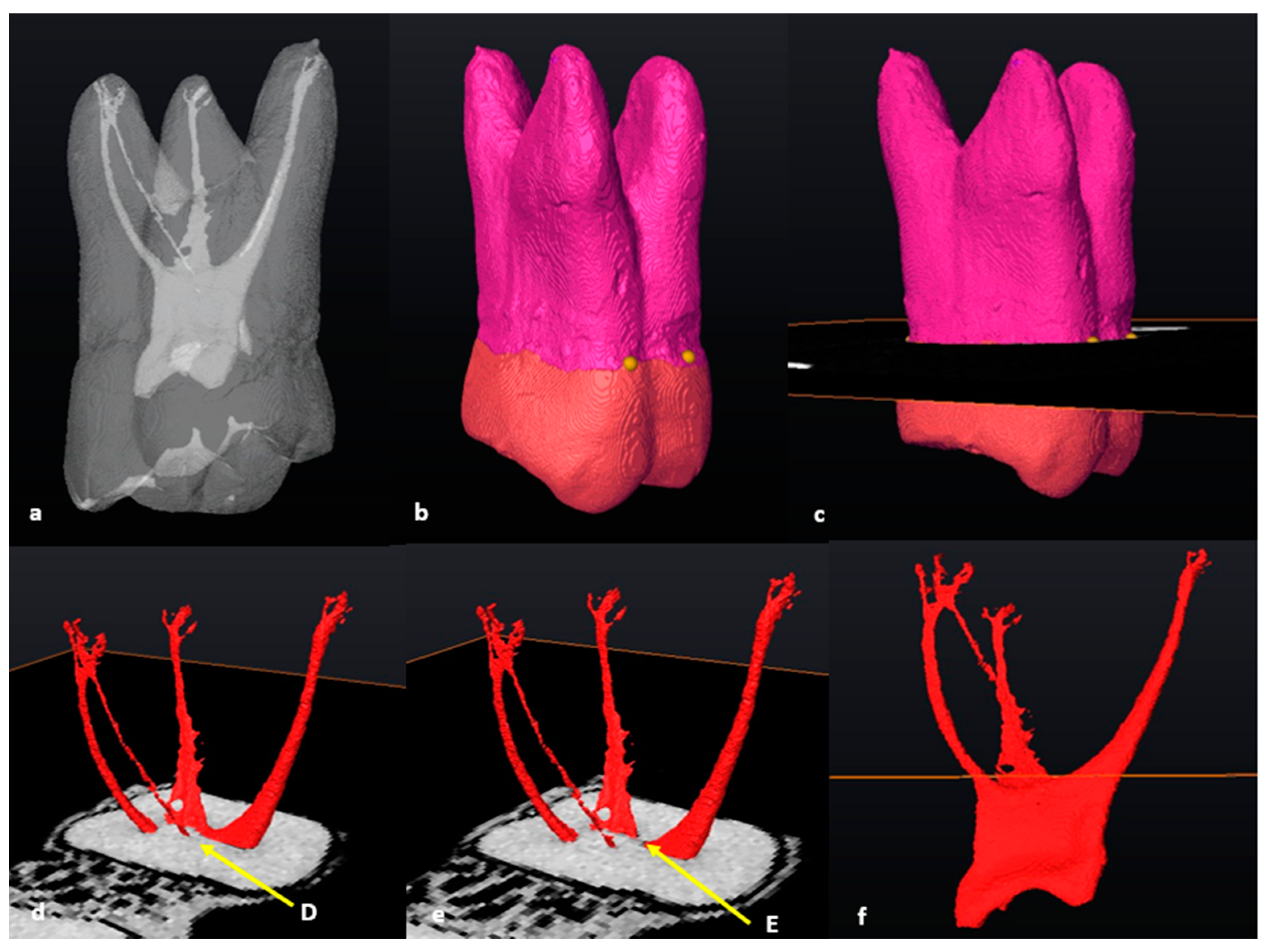 Jcm 13 00071 g009 Jcm 13 00071 g009
