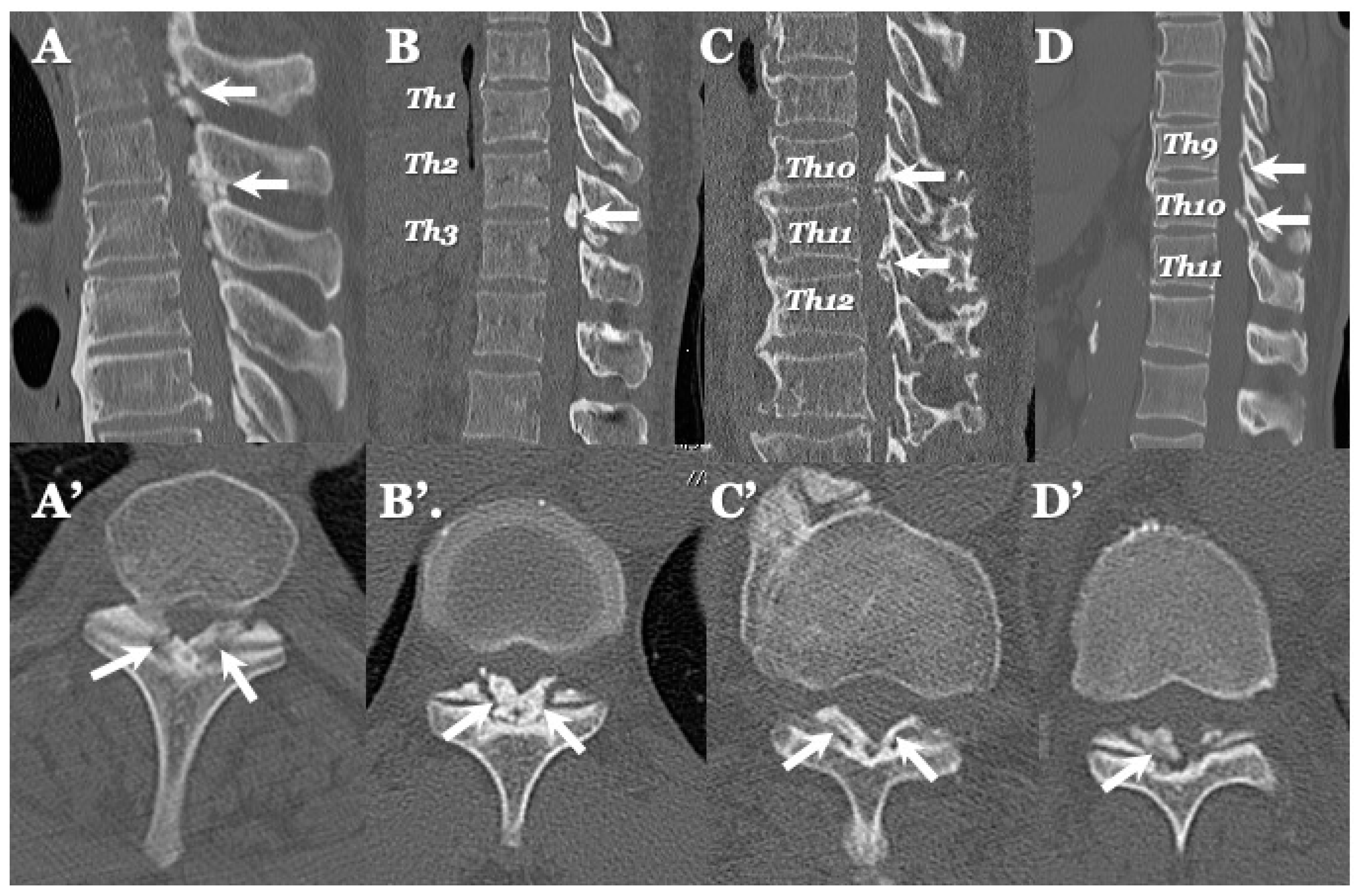 Jcm 13 00105 g005 Jcm 13 00105 g005