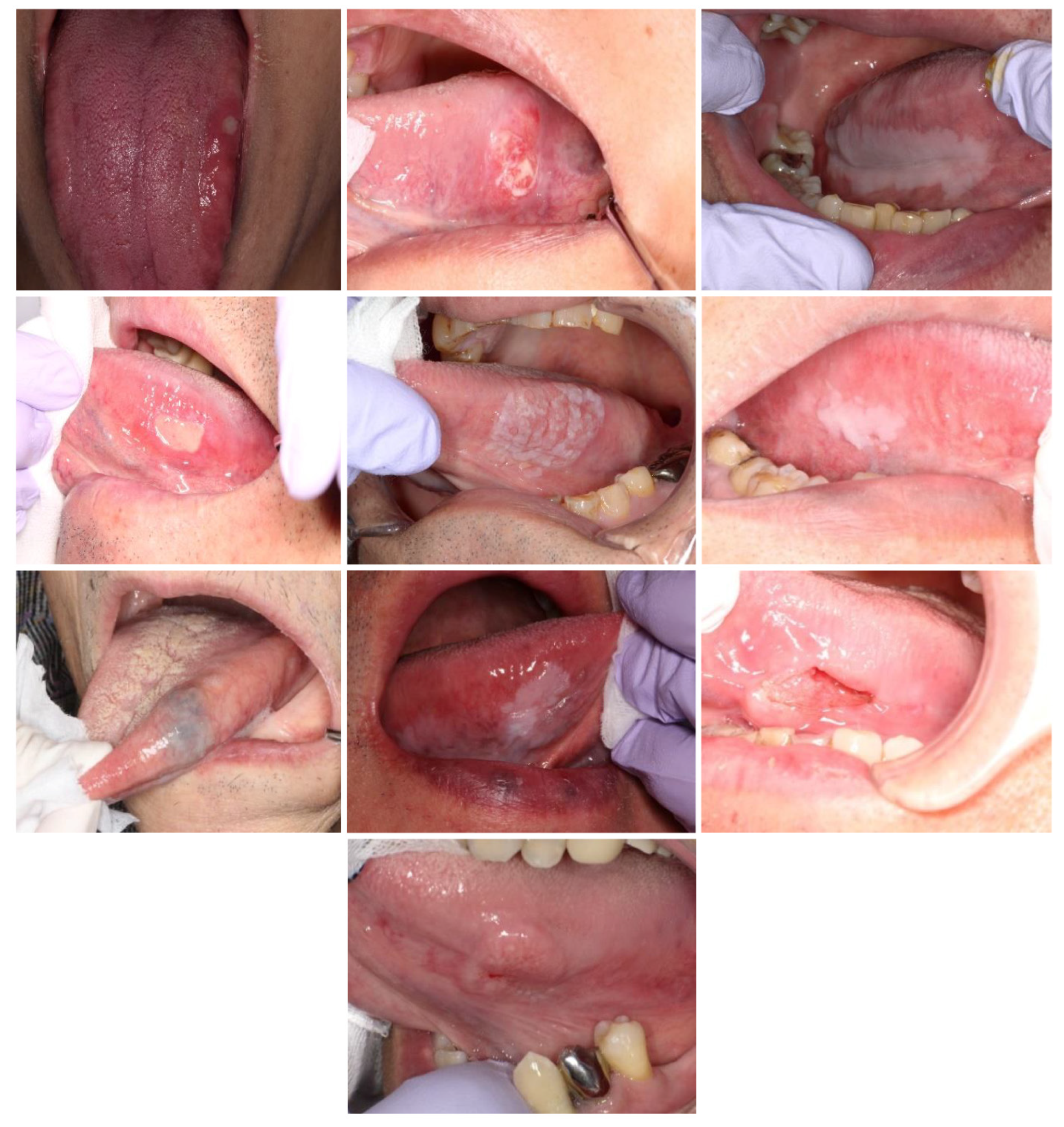 Jcm 13 00136 g002