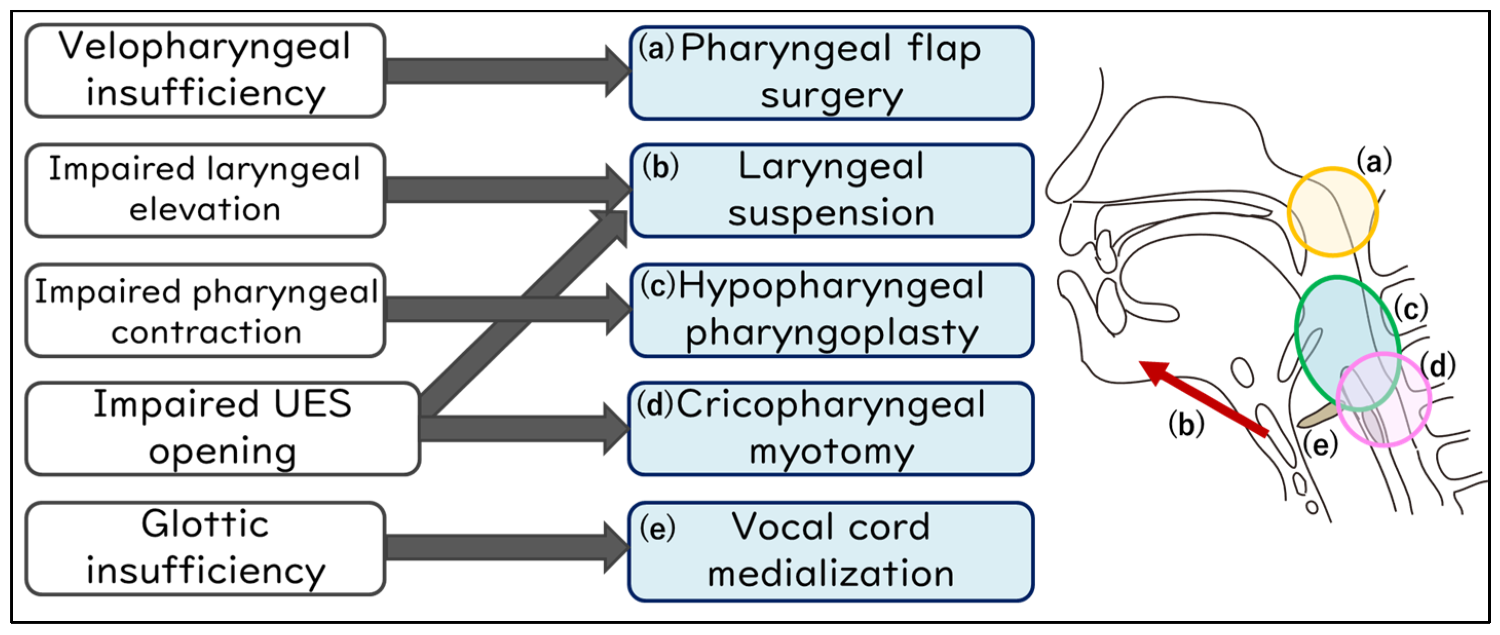 Jcm 13 00156 g003 Jcm 13 00156 g003