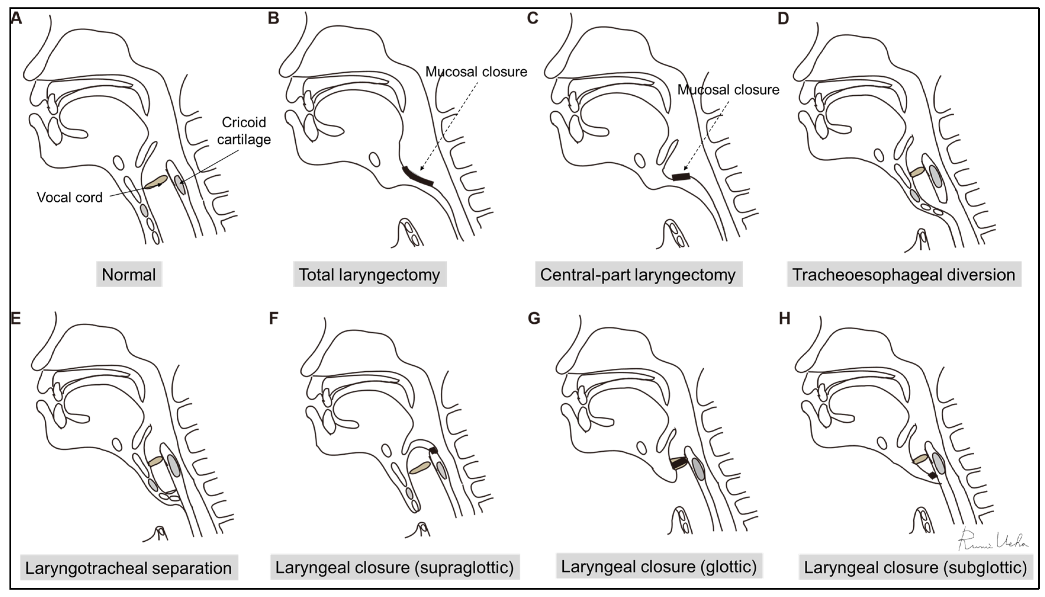 Jcm 13 00156 g004 Jcm 13 00156 g004
