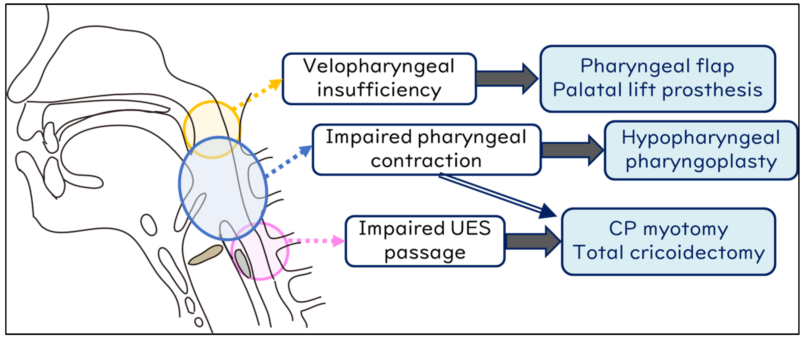 Jcm 13 00156 g005 Jcm 13 00156 g005