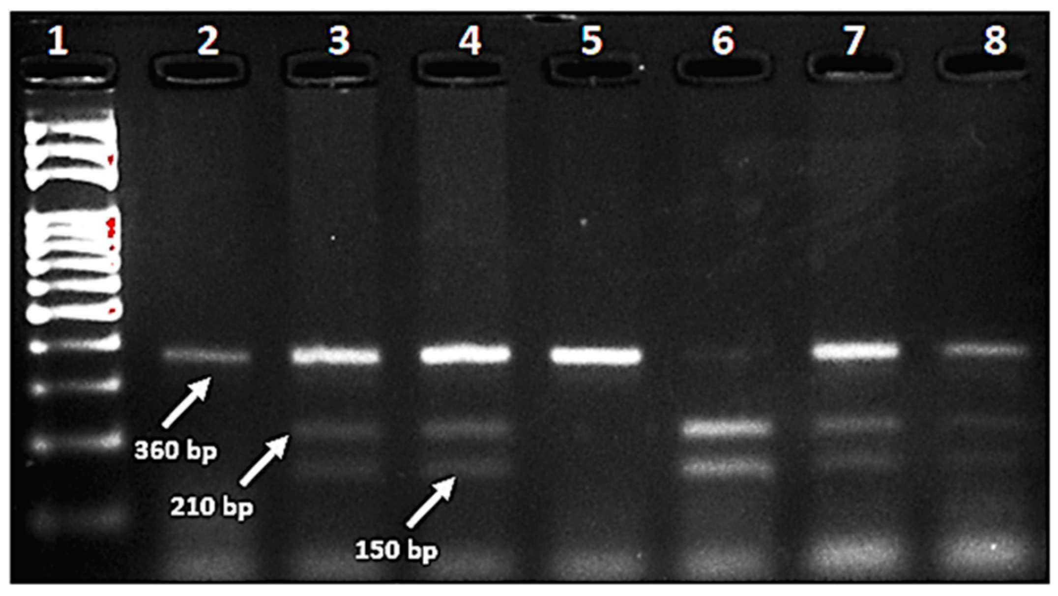 Jcm 13 00219 g001 Jcm 13 00219 g001