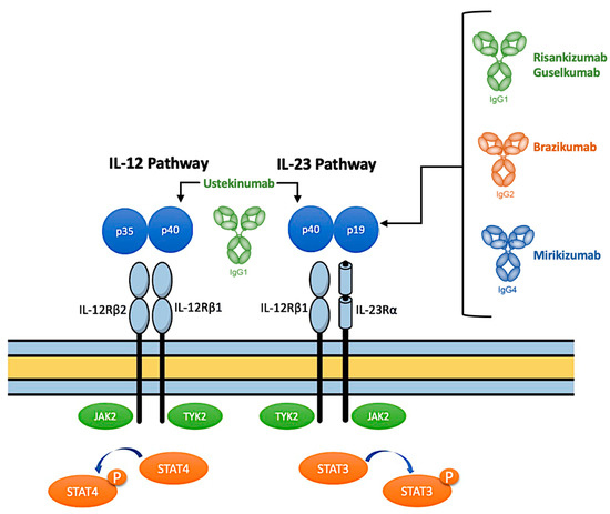 The Role of IL-23 Inhibitors in Crohn’s Disease