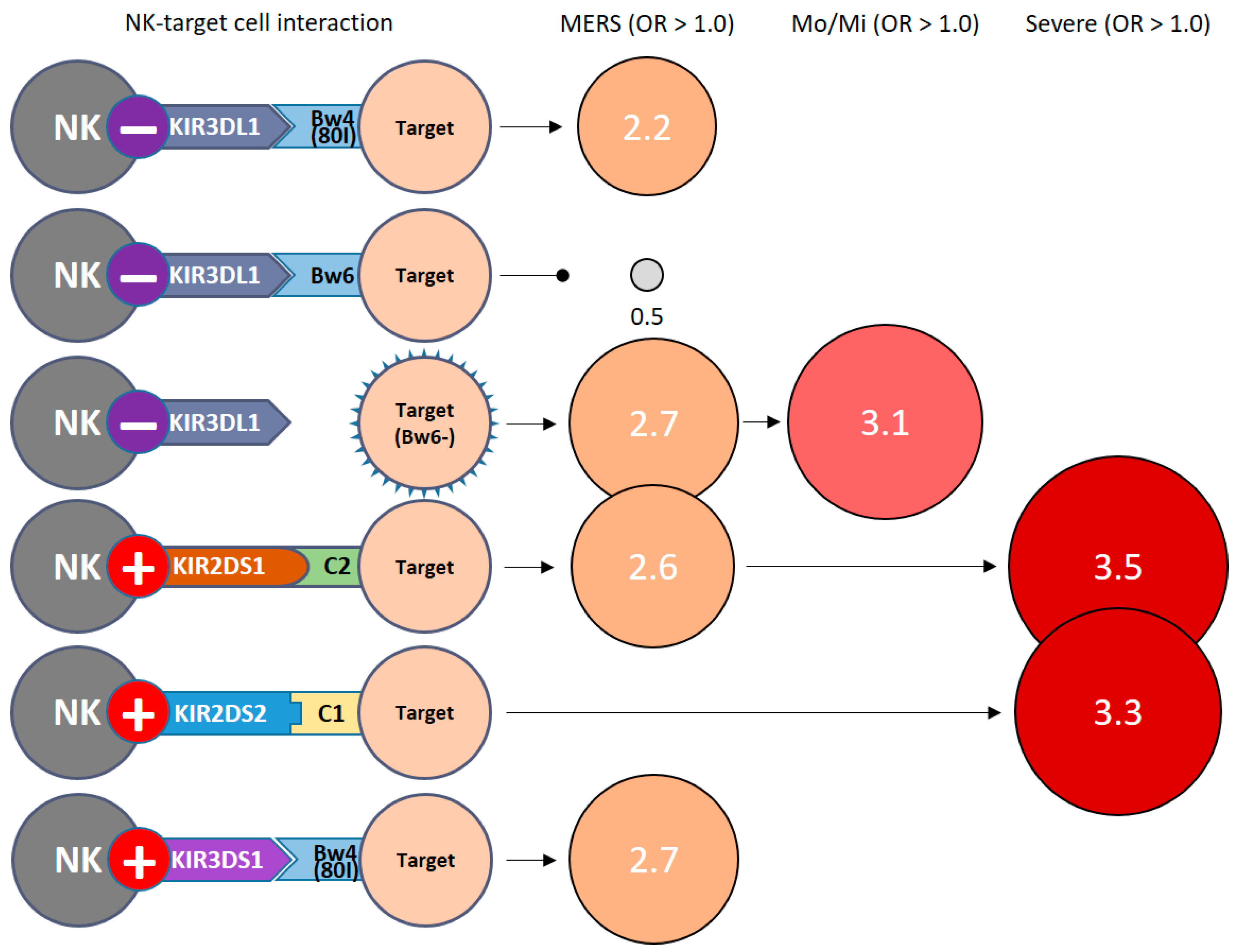Jcm 13 00258 g002 Jcm 13 00258 g002