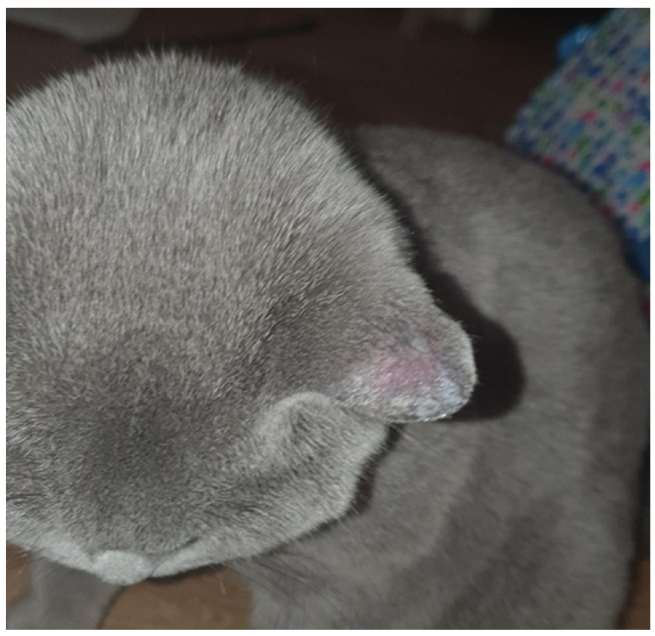 Jcm 13 00376 g002 Jcm 13 00376 g002