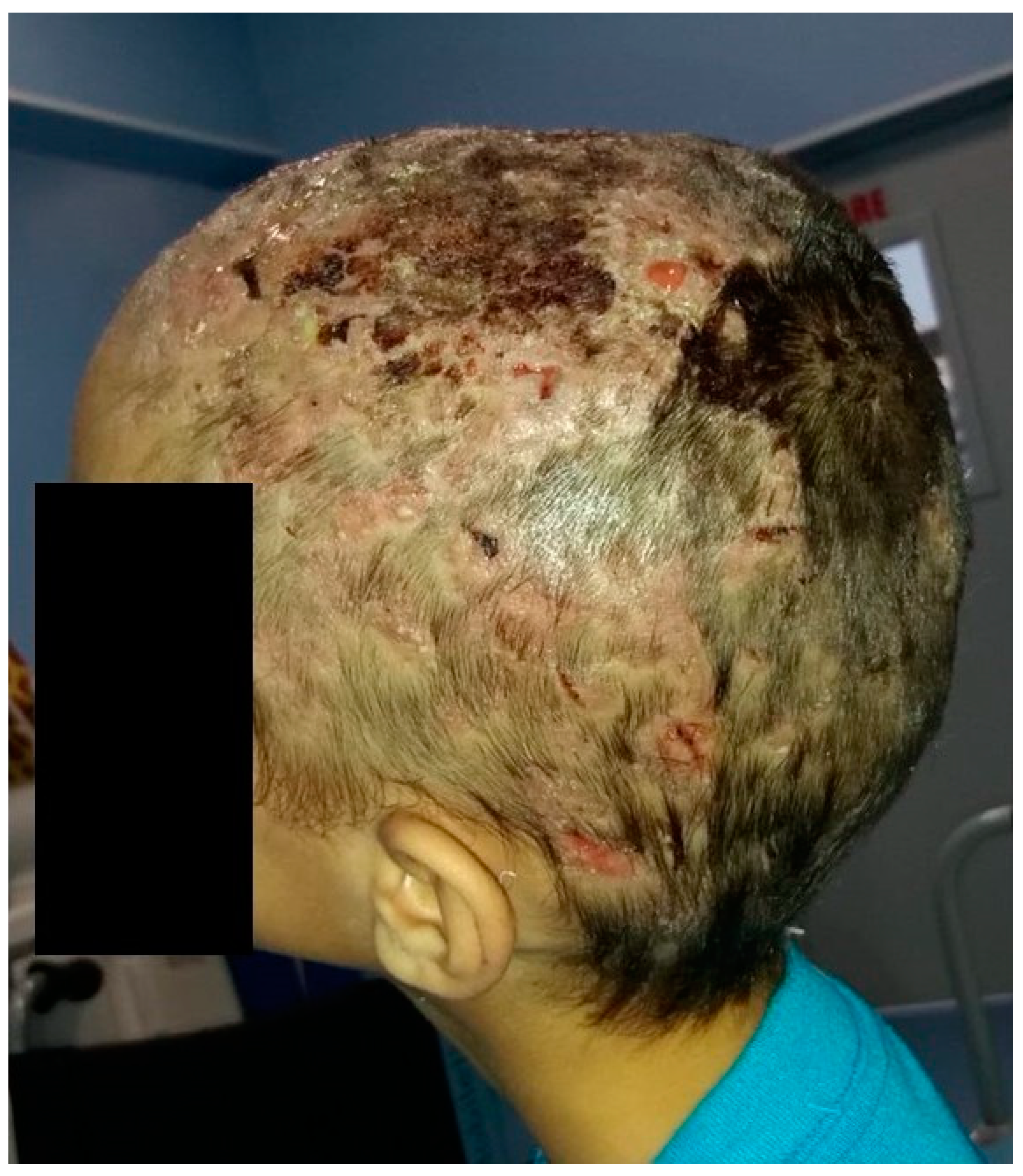 Jcm 13 00376 g006 Jcm 13 00376 g006