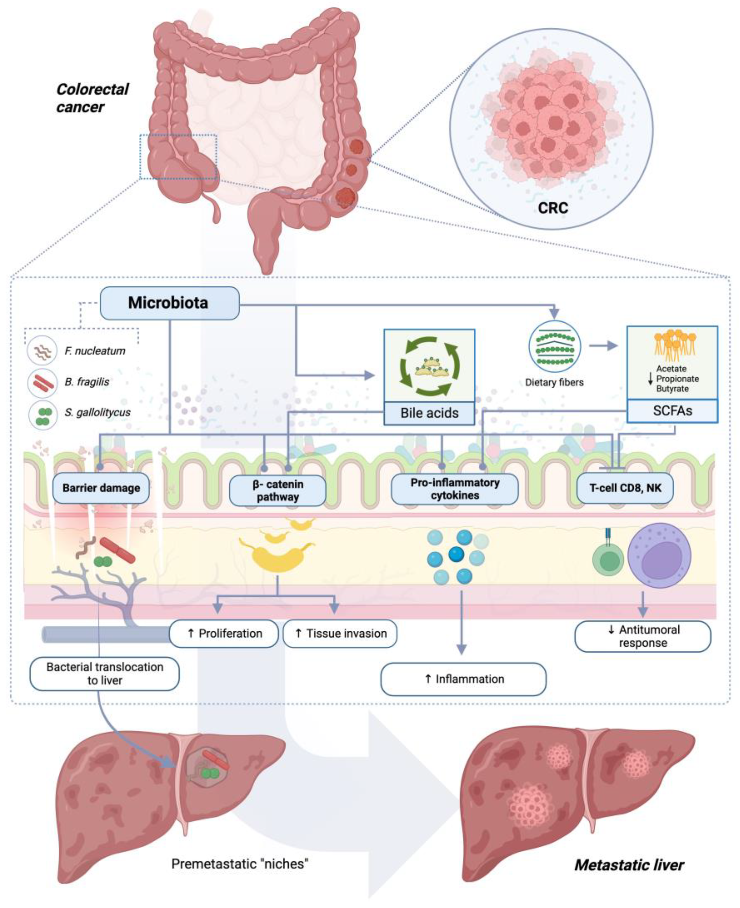 Jcm 13 00420 g001 Jcm 13 00420 g001