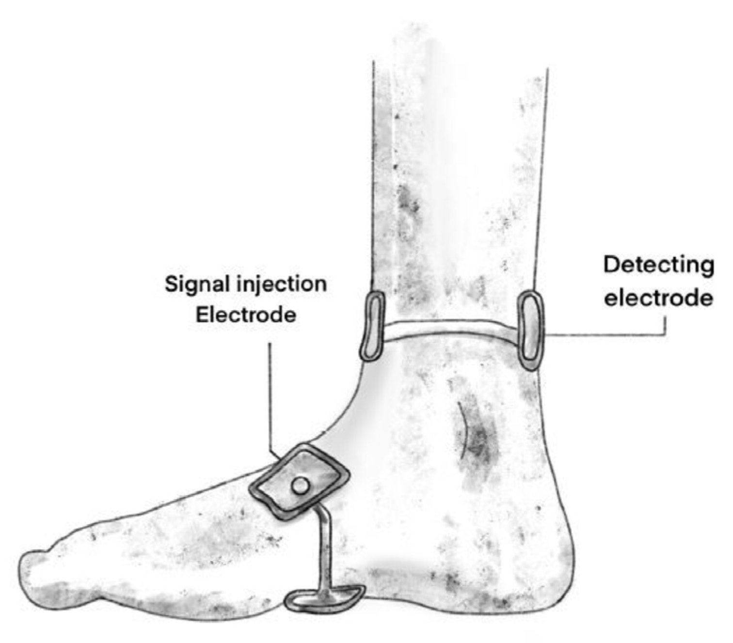 Jcm 13 00442 g004 Jcm 13 00442 g004