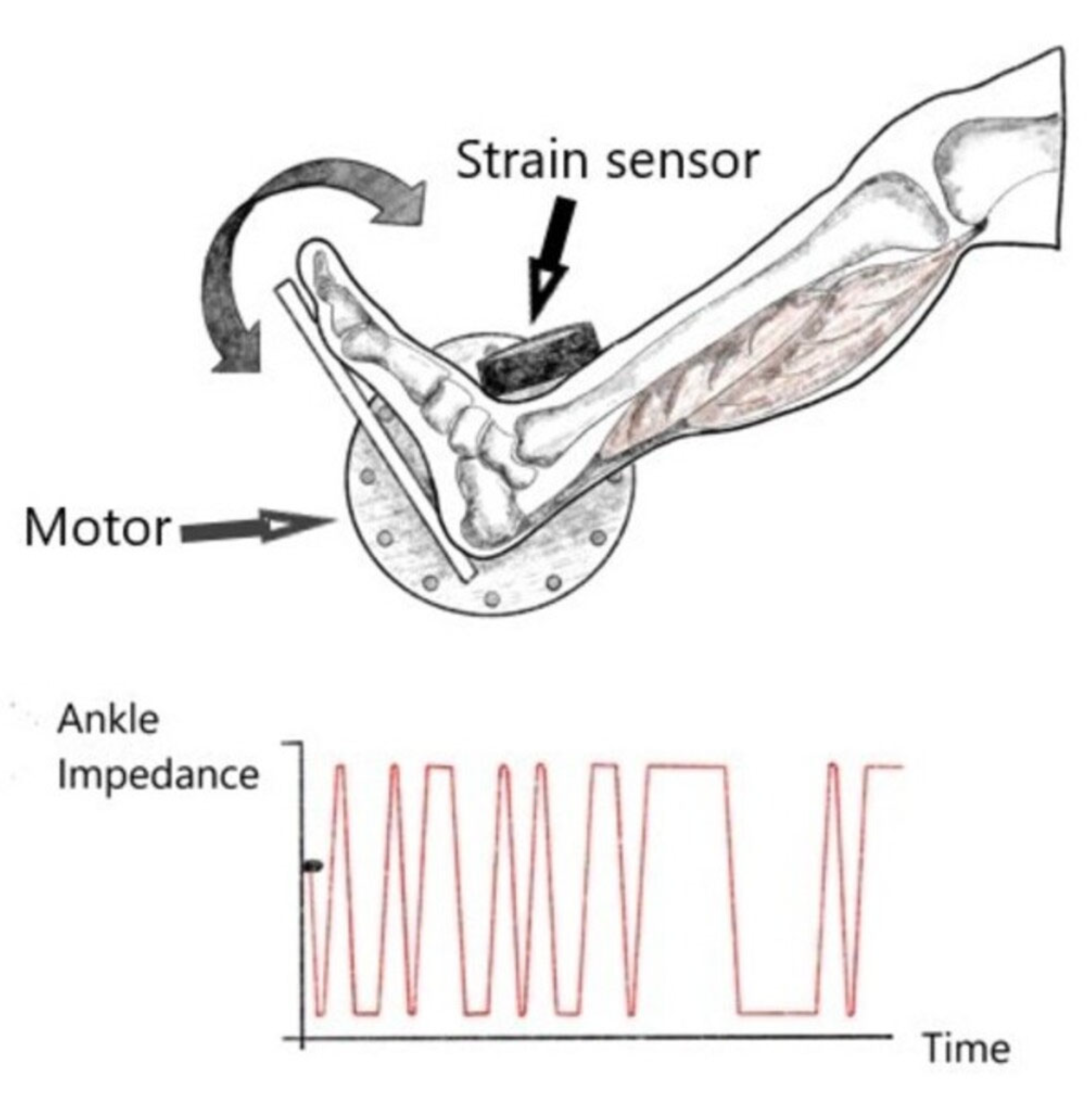 Jcm 13 00442 g005 Jcm 13 00442 g005