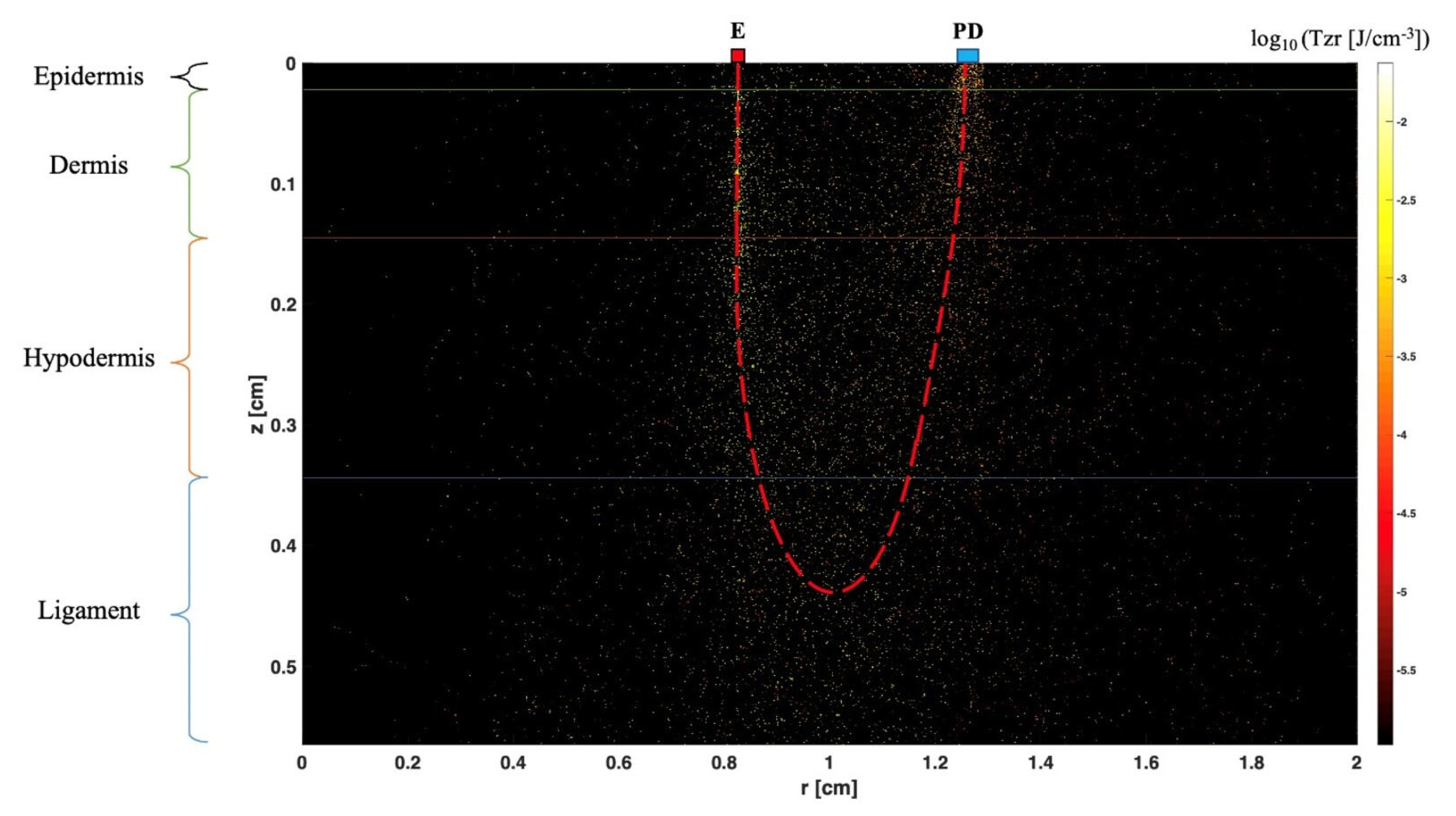 Jcm 13 00442 g007 Jcm 13 00442 g007