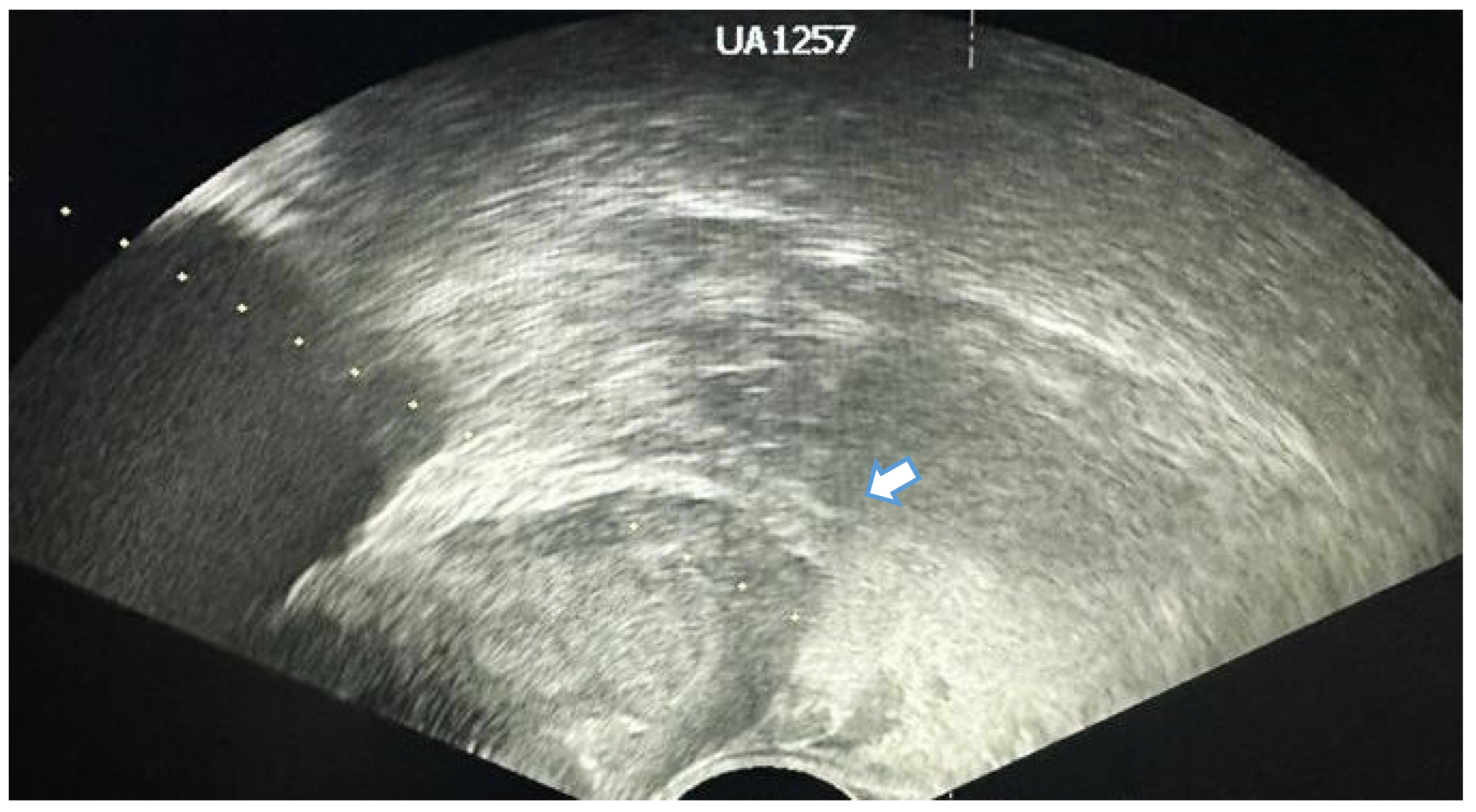 Jcm 13 00487 g004 Jcm 13 00487 g004