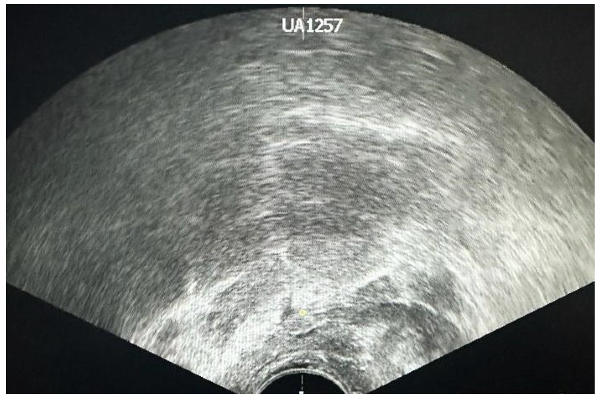 Jcm 13 00487 g005 Jcm 13 00487 g005