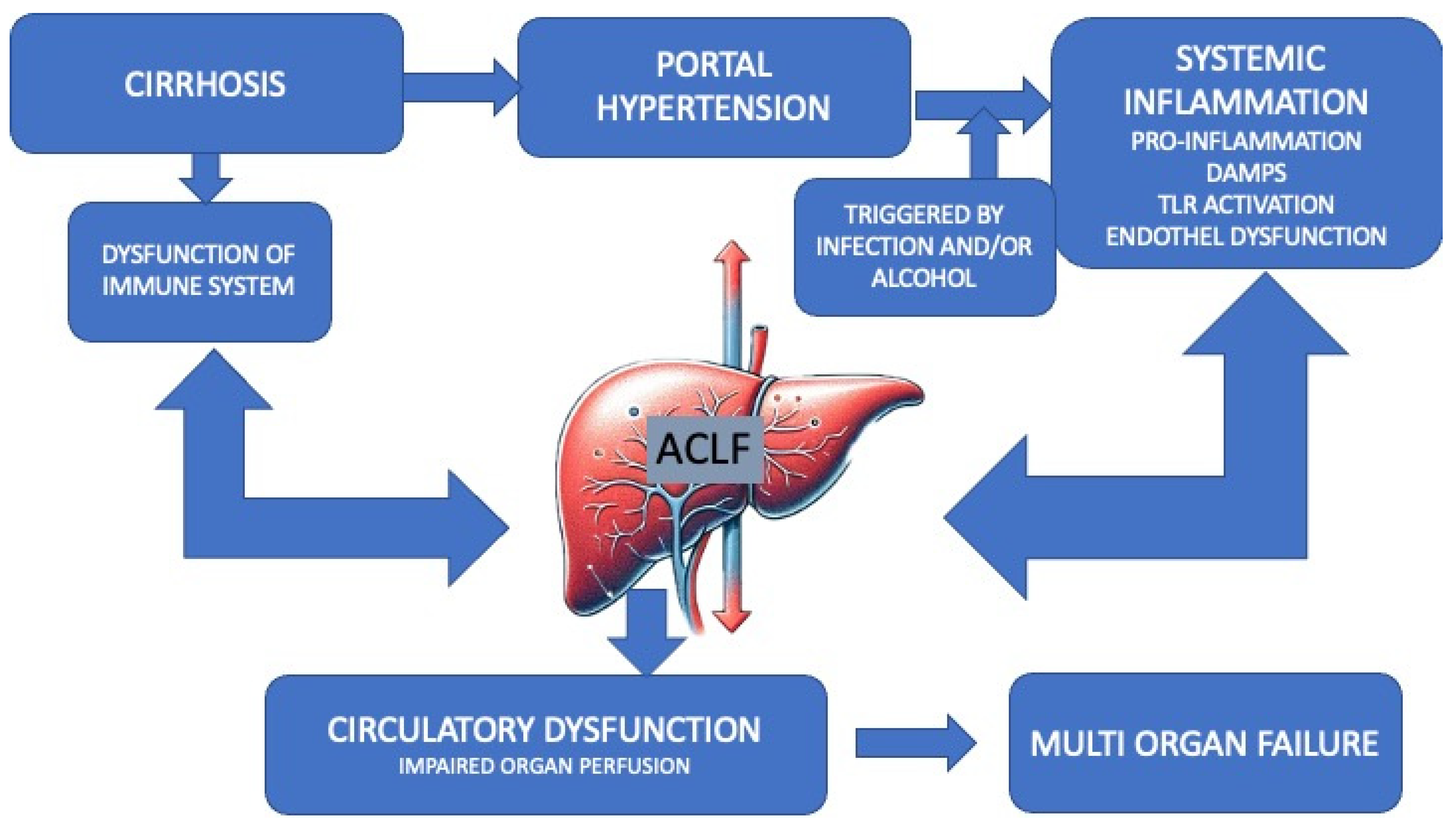gabapentin in chronic liver disease