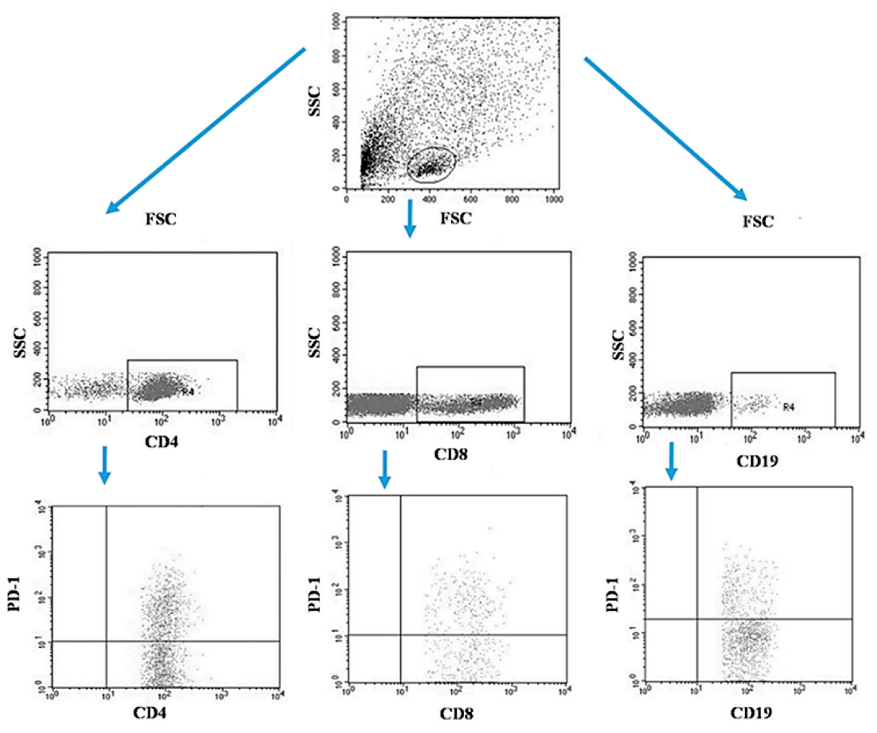 Jcm 13 00511 g003 Jcm 13 00511 g003