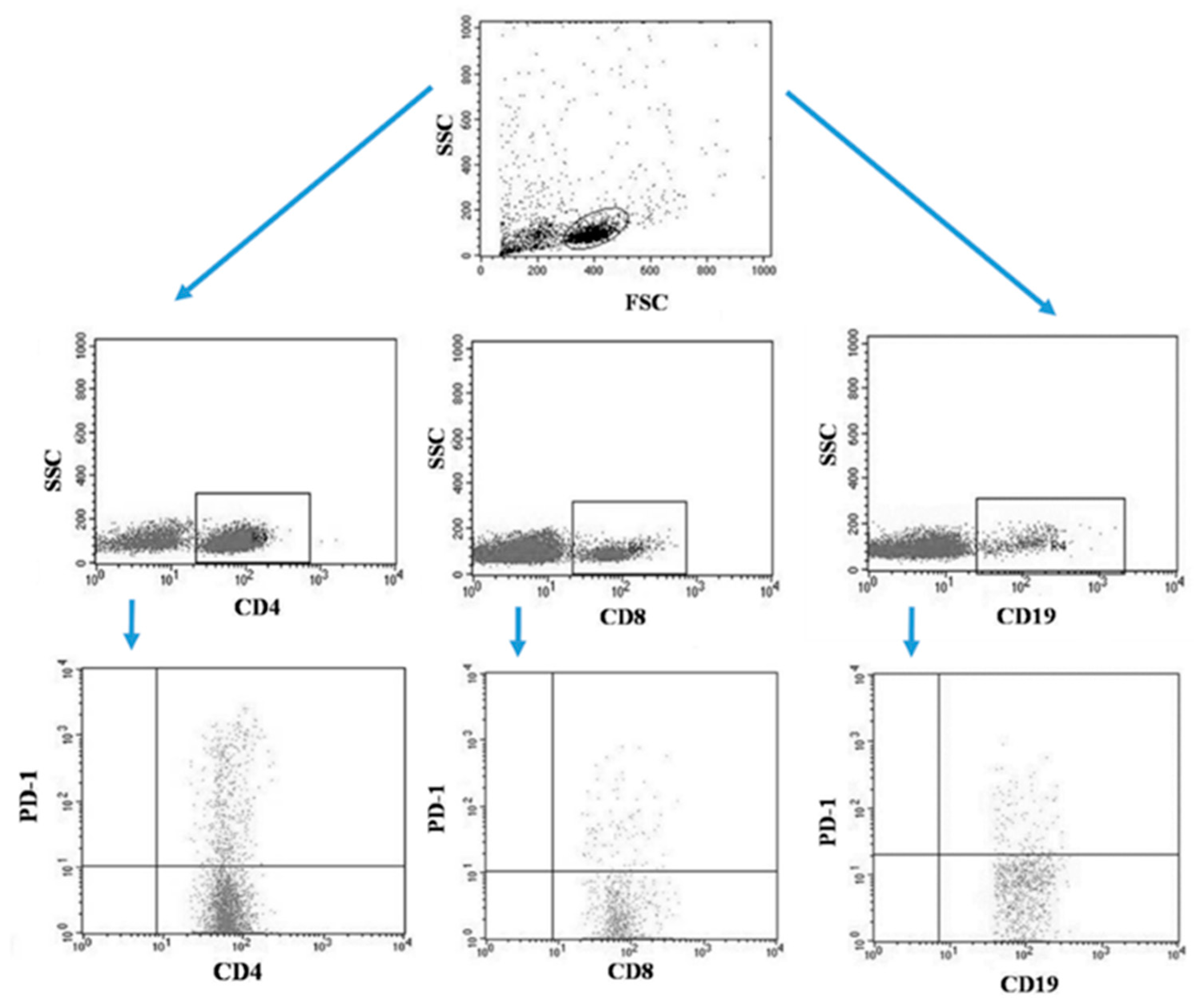 JCM | Free Full-Text | The Relationship between Cancer Stage, Selected ... image.
