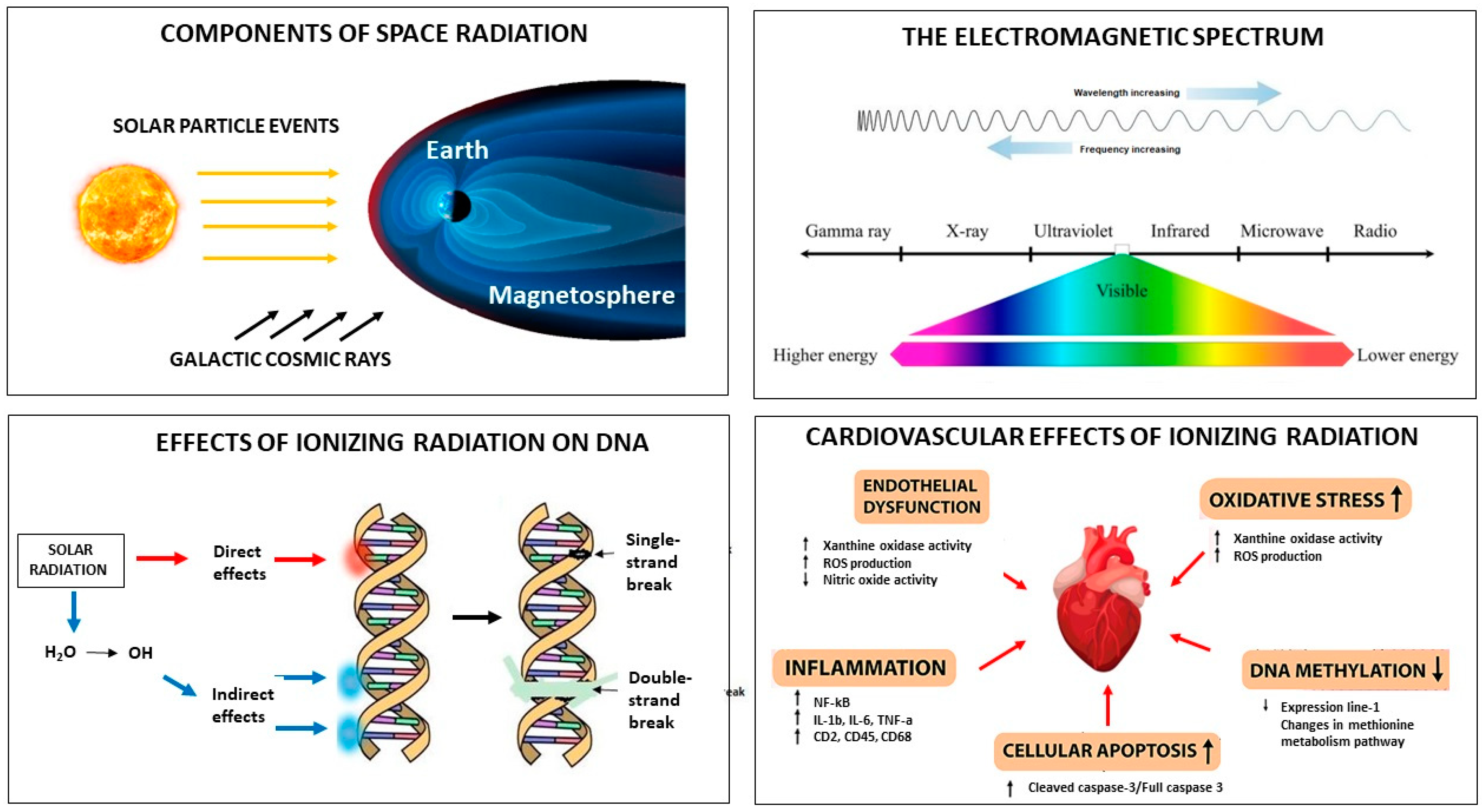 Jcm 13 00520 g001 Jcm 13 00520 g001