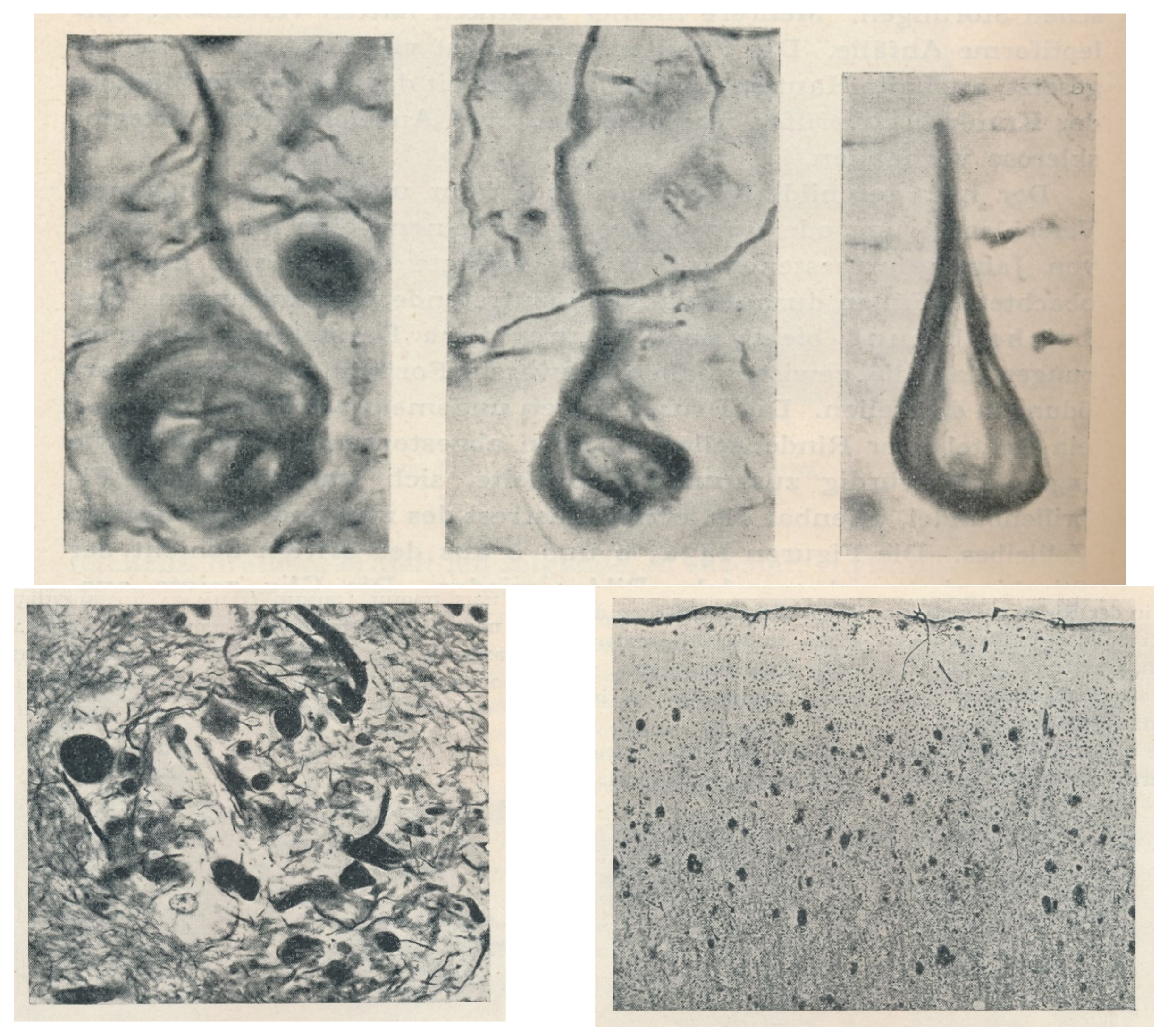 Jcm 13 00536 g001 Jcm 13 00536 g001