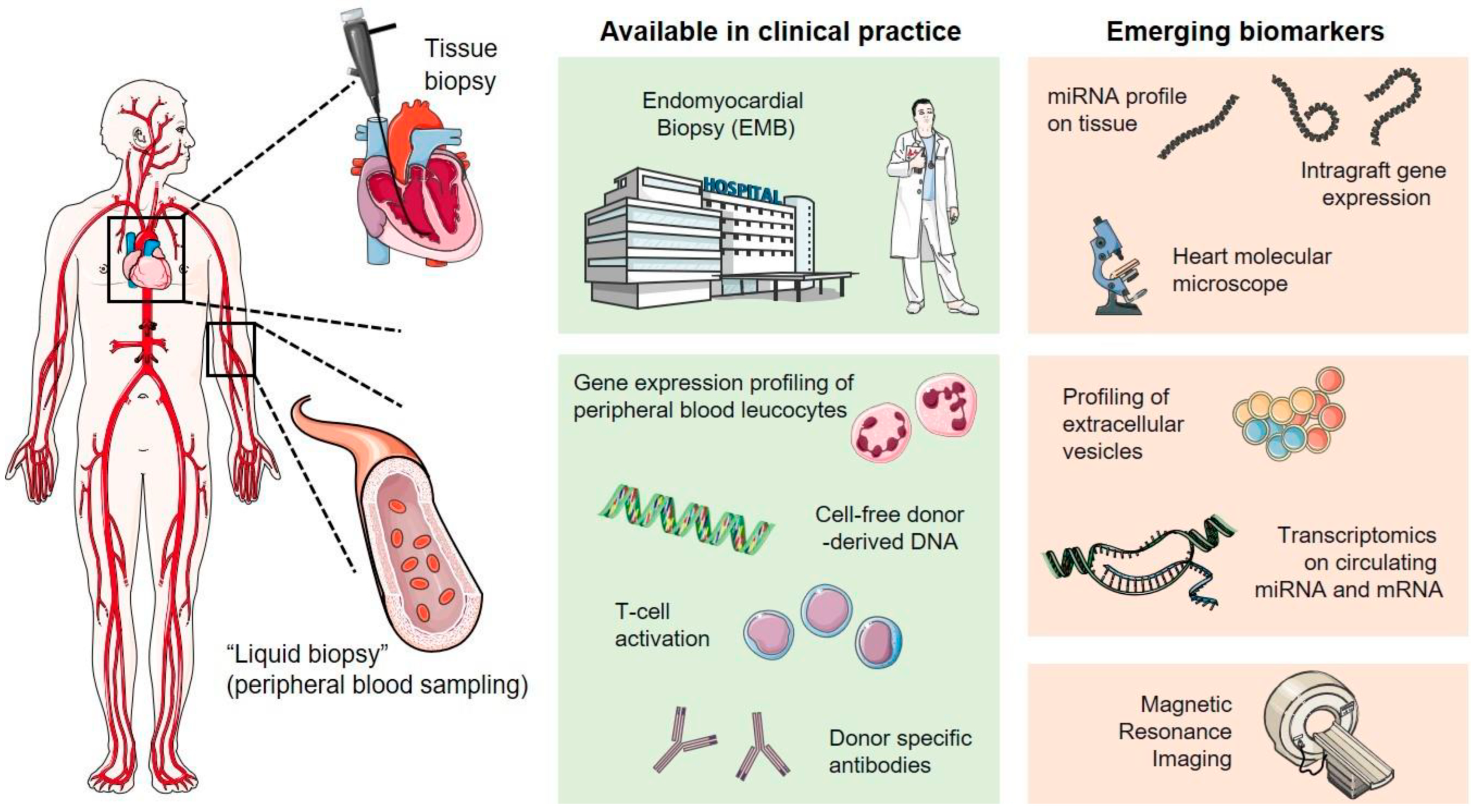 Jcm 13 00558 g001 Jcm 13 00558 g001