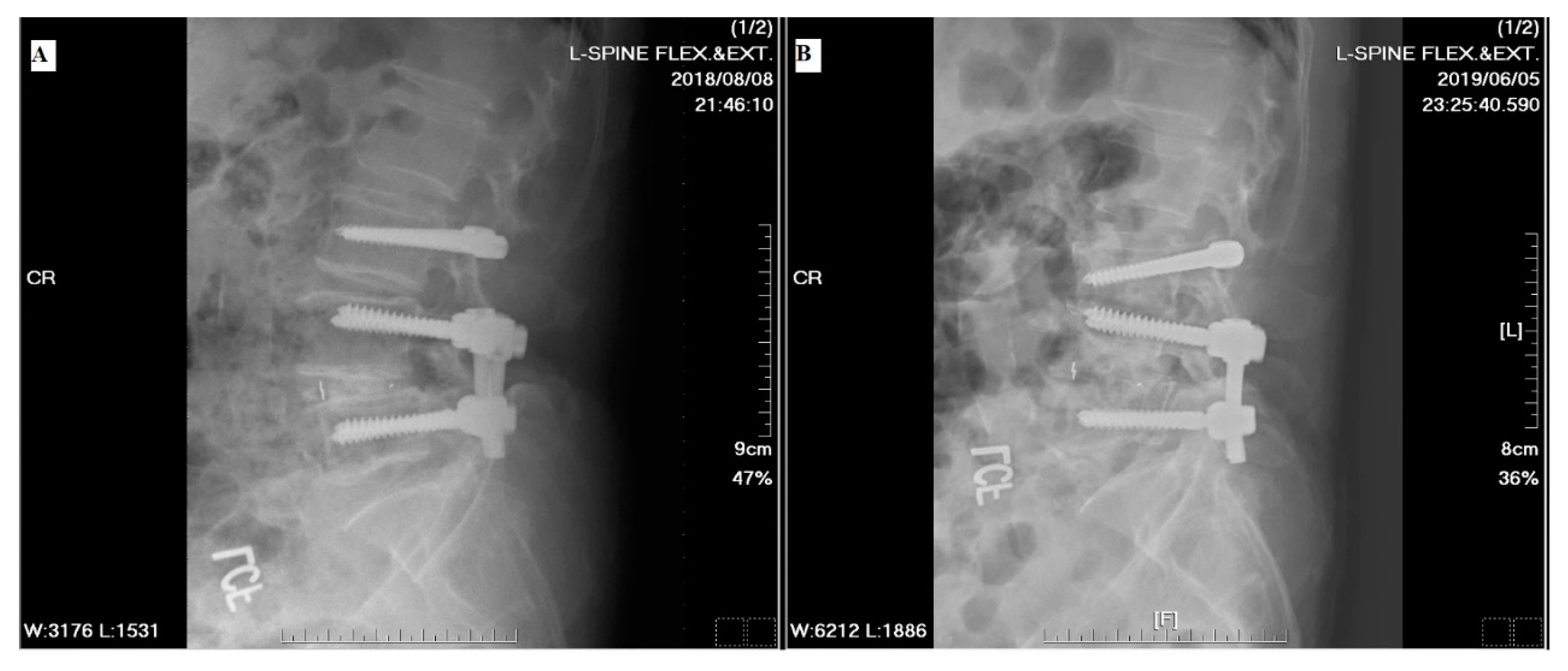 Jcm 13 00582 g009 Jcm 13 00582 g009