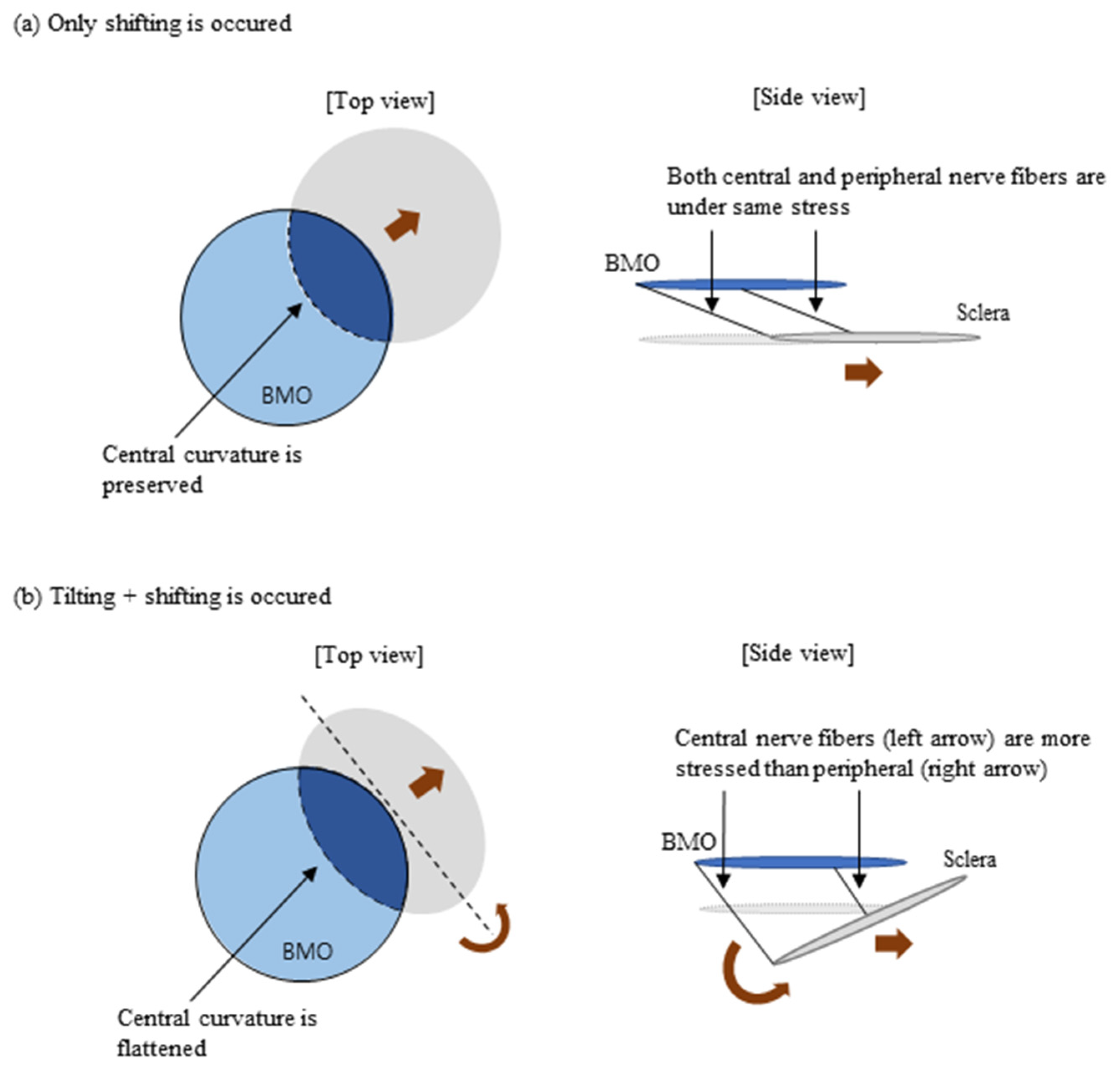 Jcm 13 00596 g009 Jcm 13 00596 g009