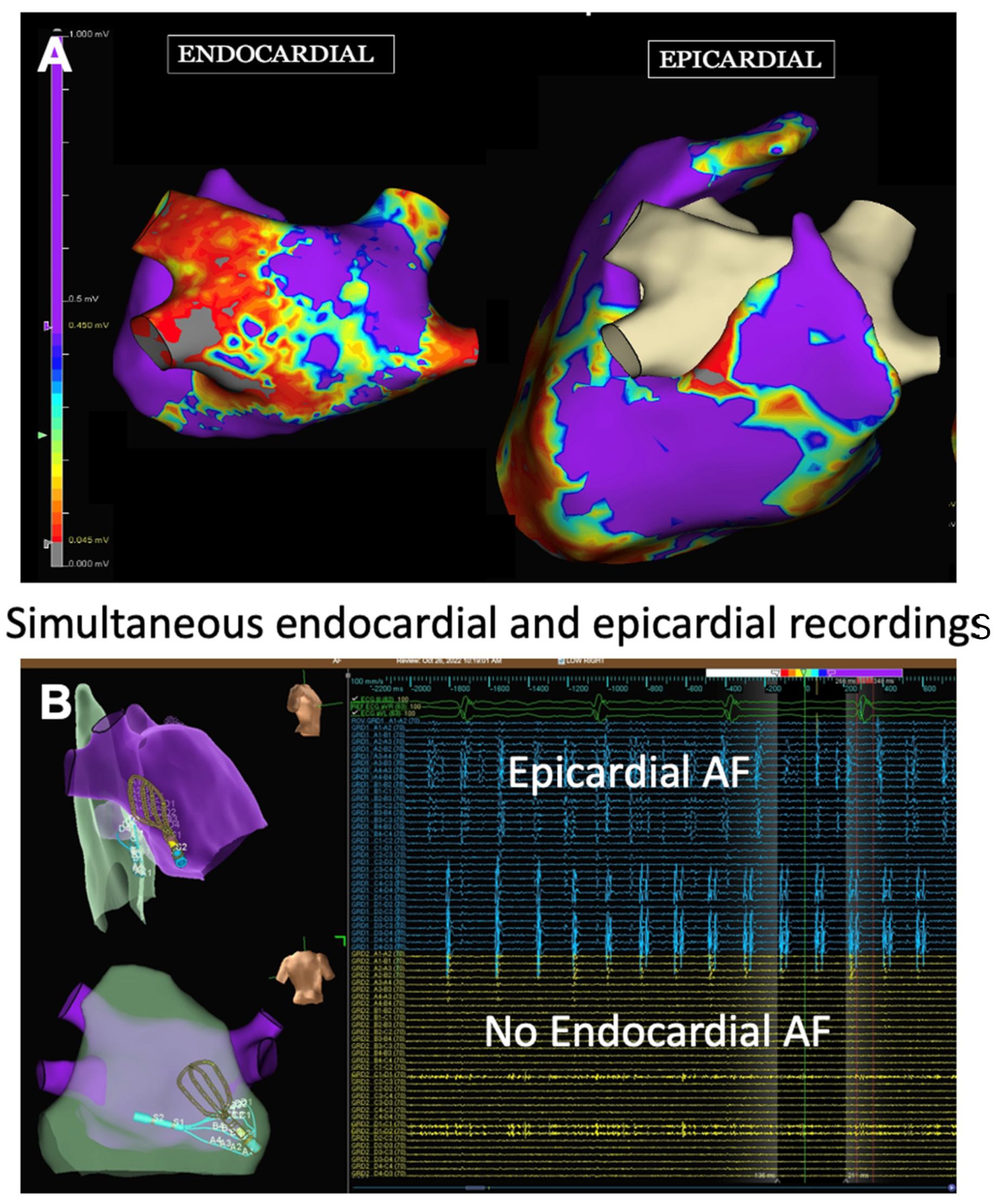 Jcm 13 00679 g002 Jcm 13 00679 g002