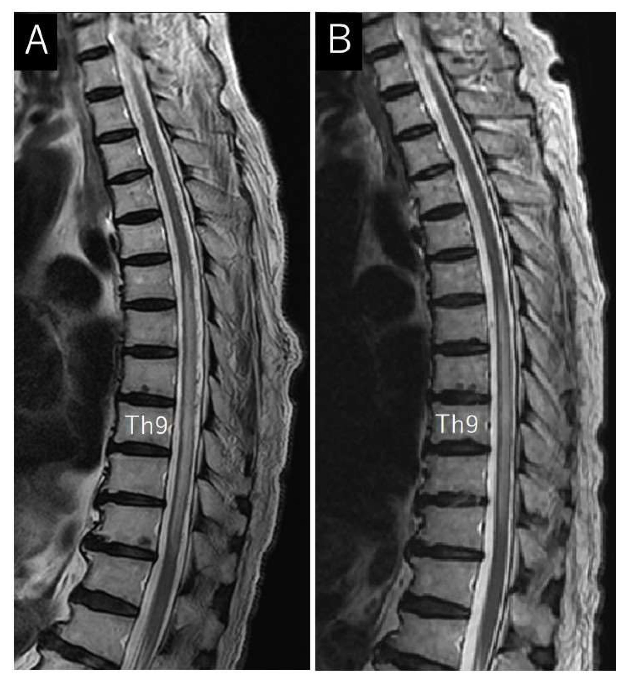 Jcm 13 00711 g003 Jcm 13 00711 g003