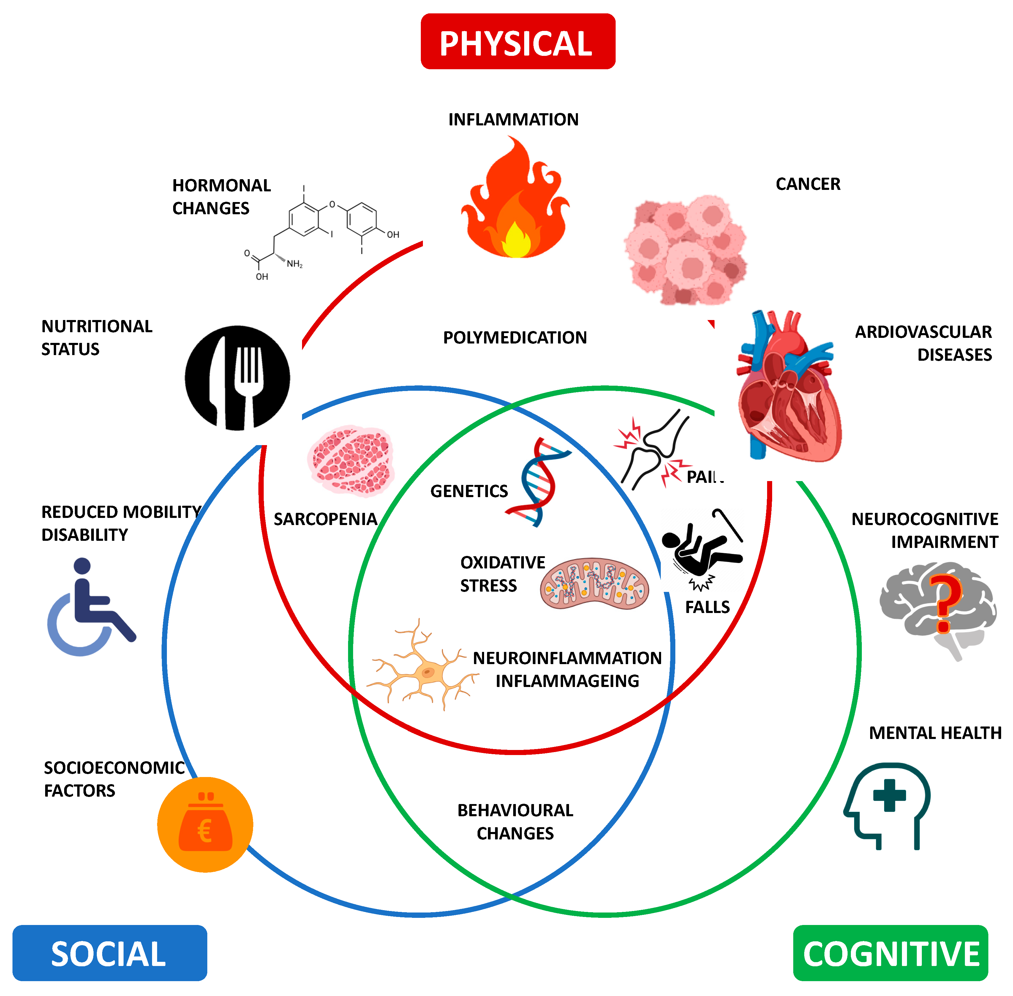 Jcm 13 00721 g002 Jcm 13 00721 g002