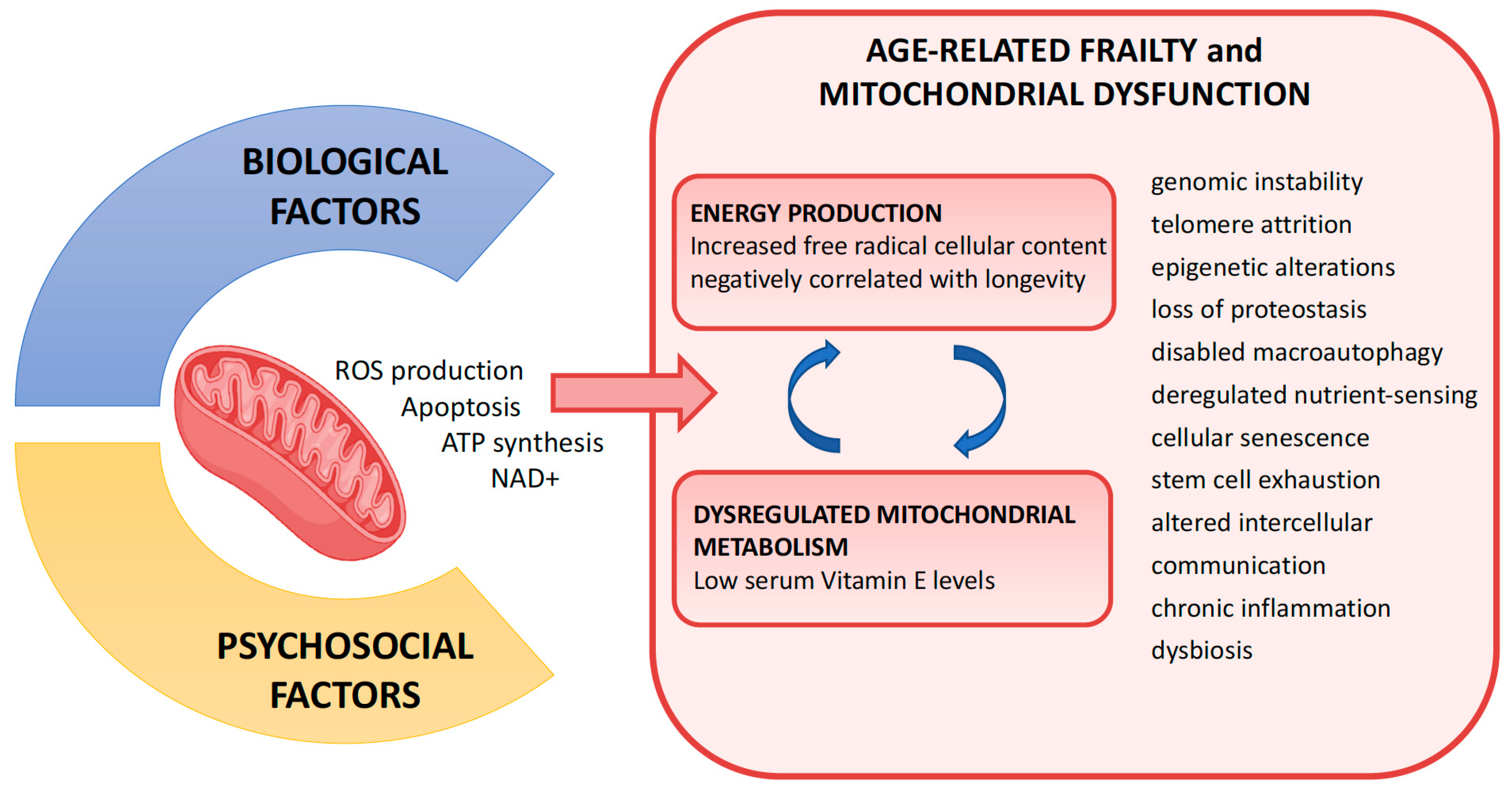 Jcm 13 00721 g004 Jcm 13 00721 g004